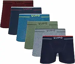 Cueca Lupo 733 Kit 6 Peças Boxer Microfibra Sem Costura