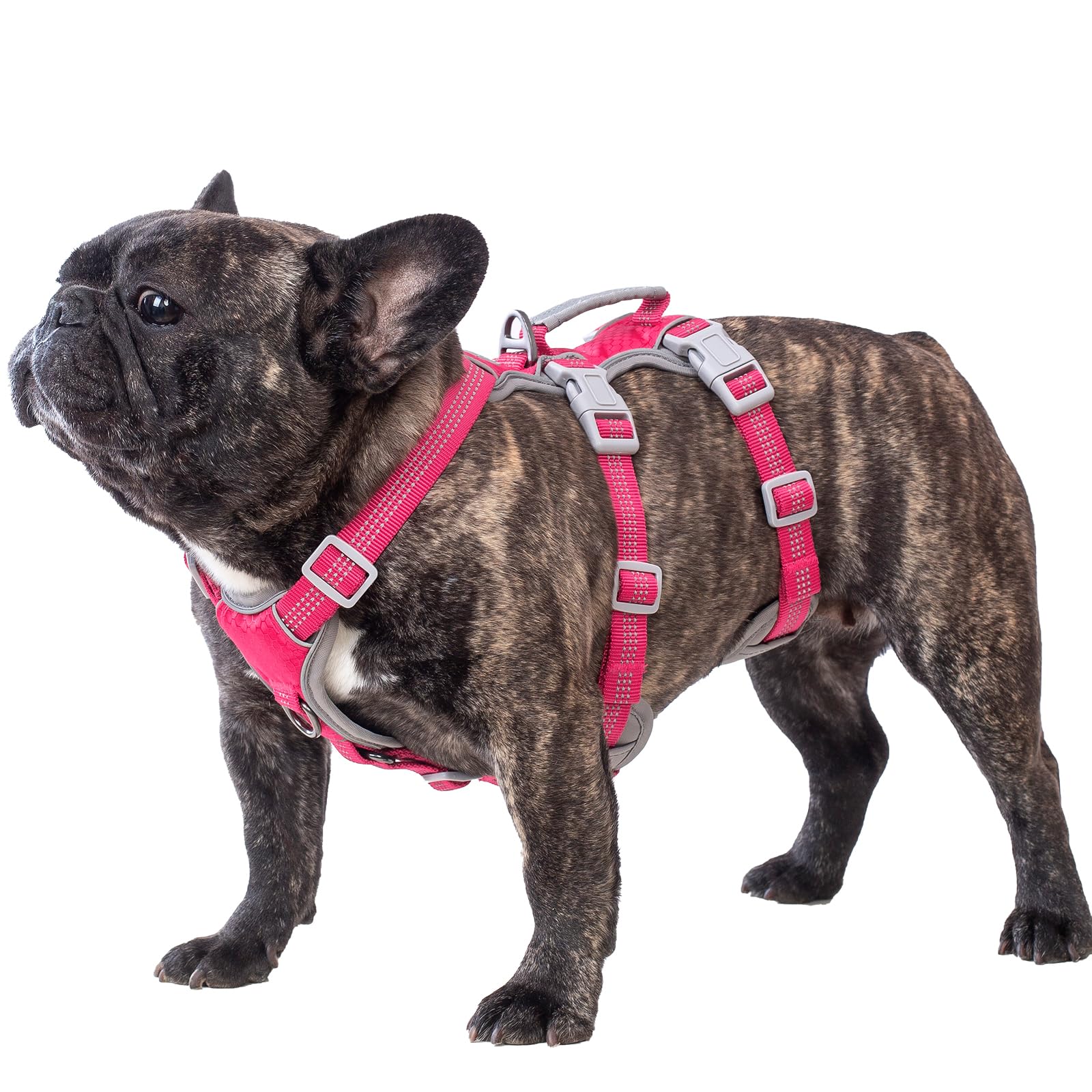 Huntboo Escape Proof Dog Harness, Escape Artist Harness, Reflective Harness with Padded Handle, Breathable, Durable, Adjustable Vest for Medium Dogs Walking, Training, and Running Gear (Rose red, M)