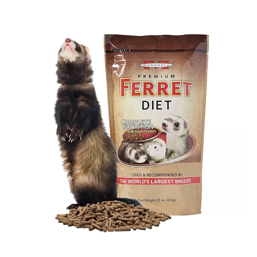 rebestore マーシャル プレミアム フェレット フード500g （10個 マーシャル プレミアムフェレットフード 500g