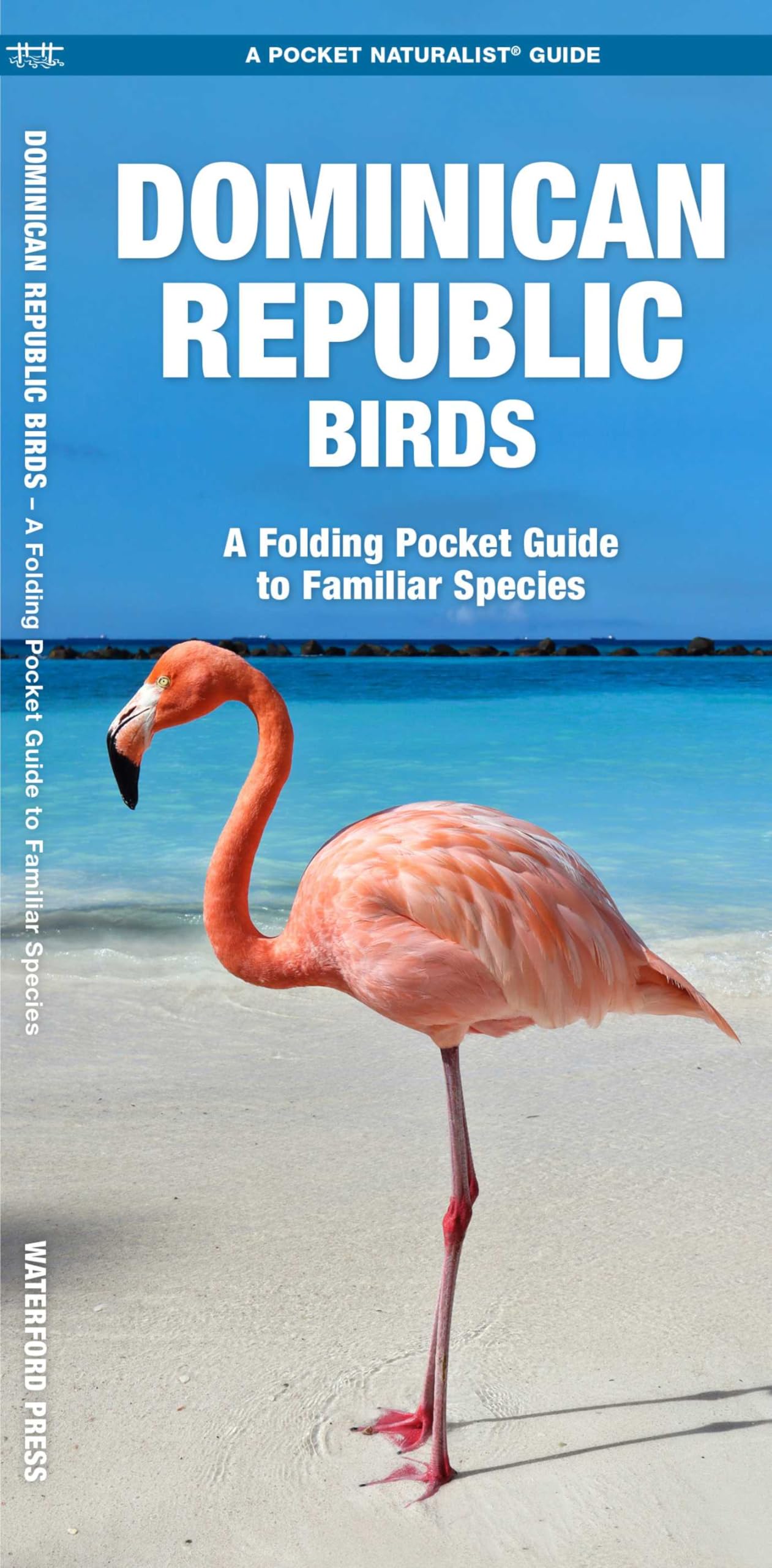 Dominican Republic Birds: A Folding Pocket Guide to Familiar Species (A Pocket Naturalist Guide)