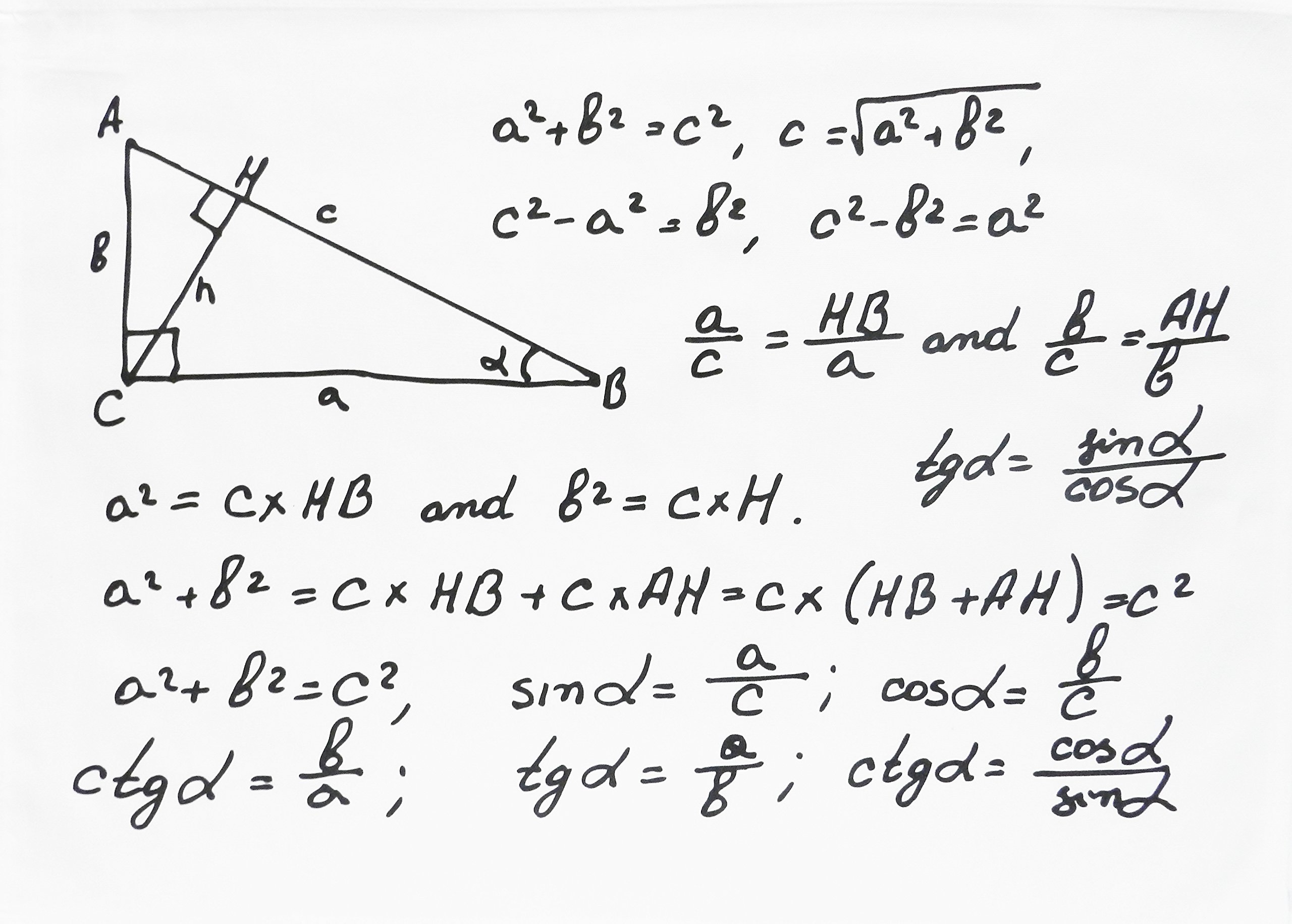 Half a Donkey The Maths Equations - Cotton Tea Towel