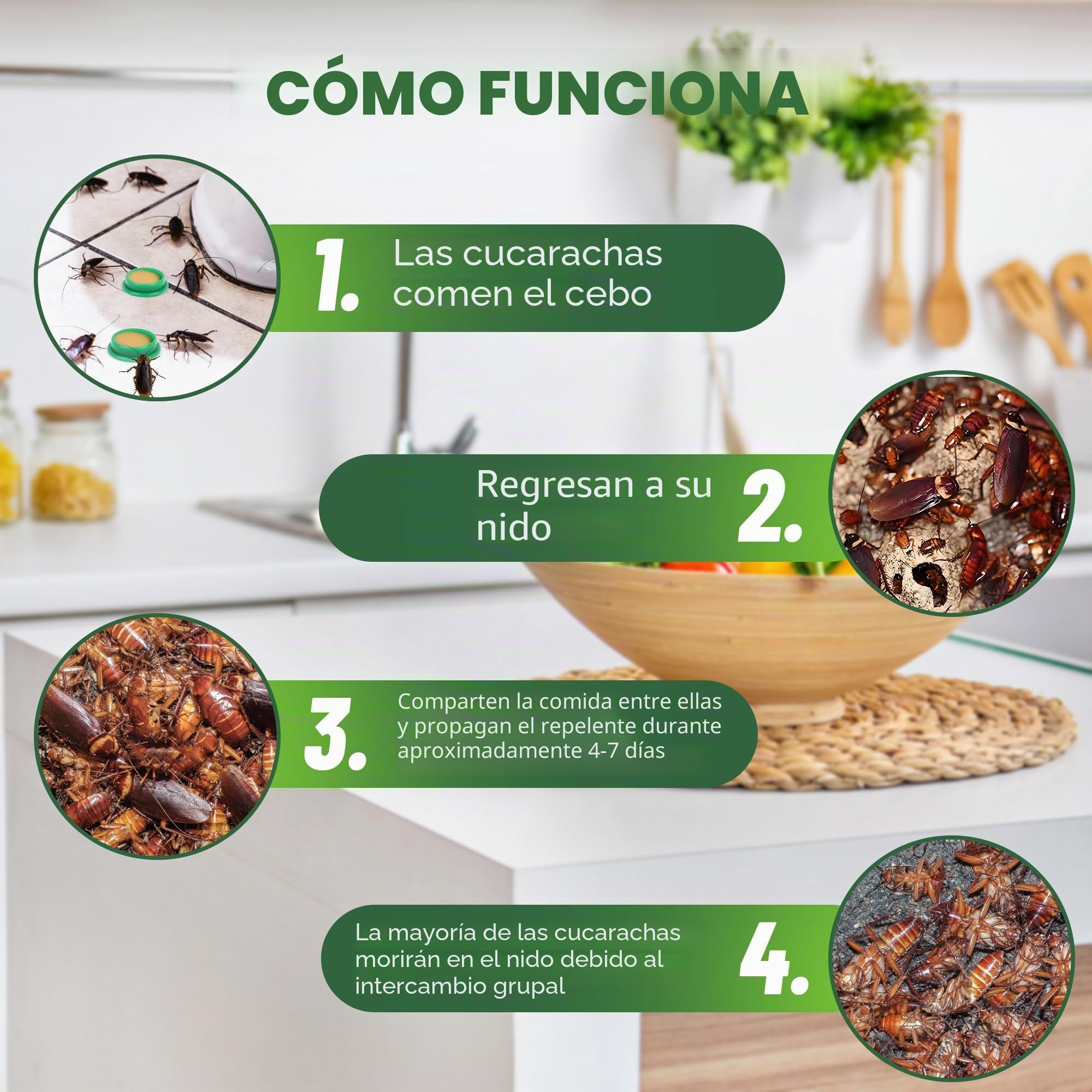 Paquete de 24 repelentes de cucarachas para el hogar, repelente natural de cucarachas para mantener a las cucarachas alejadas, potente cebo para cucarachas, disuasorio de cucarachas para interiores y