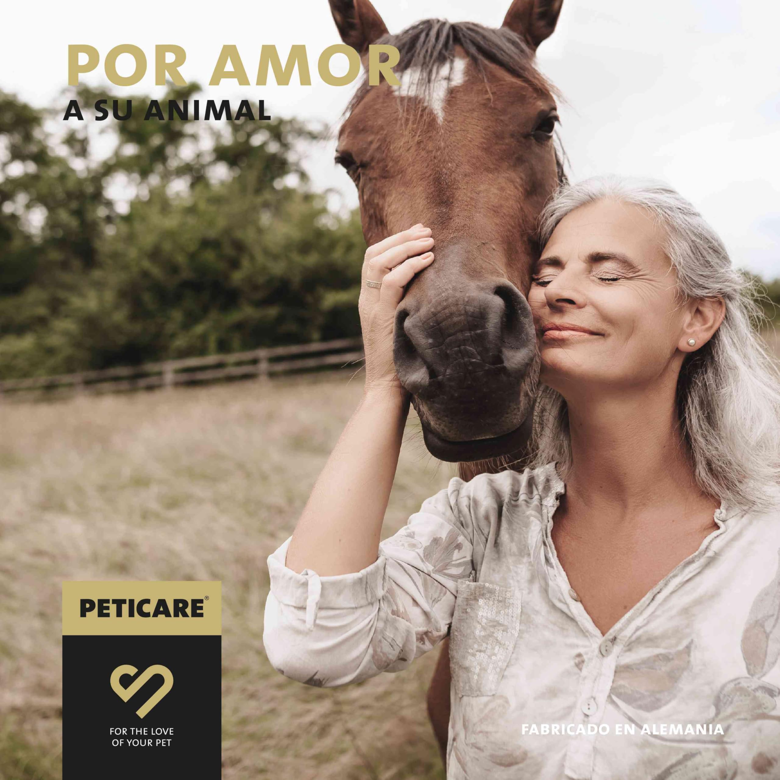 Peticare desparasitante en Polvo para Caballos | secundario a la desparasitación y la infestación del Gusano | para Caballos y Ponis | Ingredientes a Base de Hierbas, ajenjo | petHorse Health 4605
