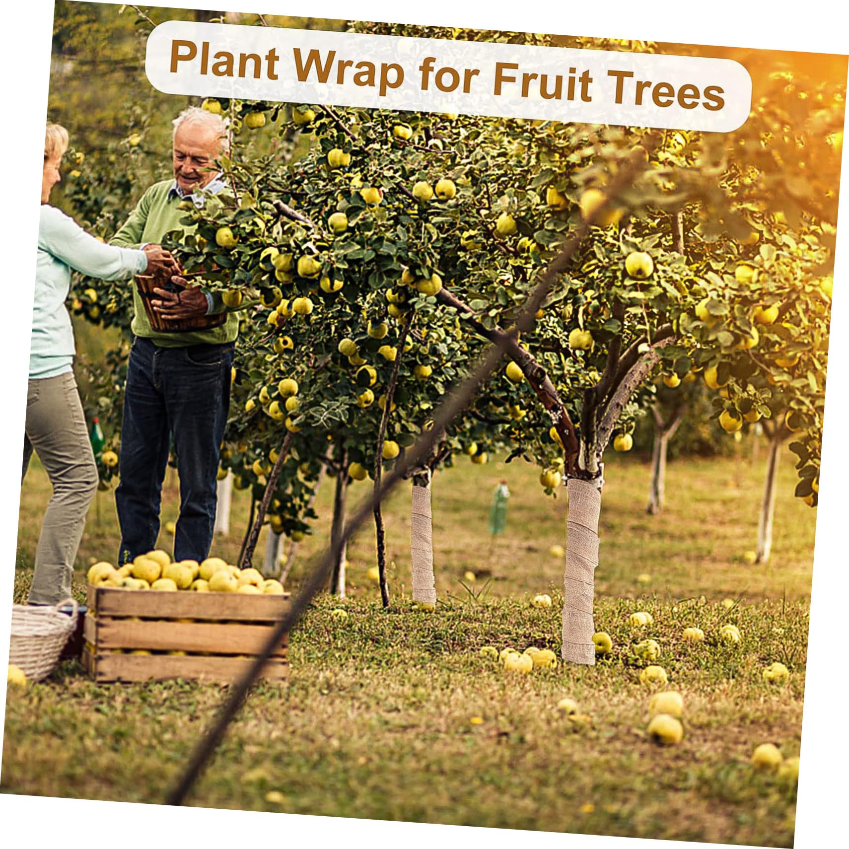 BESTonZON Protezione per Tronchi Alberi in Tela Juta Naturale Avvolgimento Antigelo per Piante e Alberi Traspirante e Pratico per e Coltivazioni