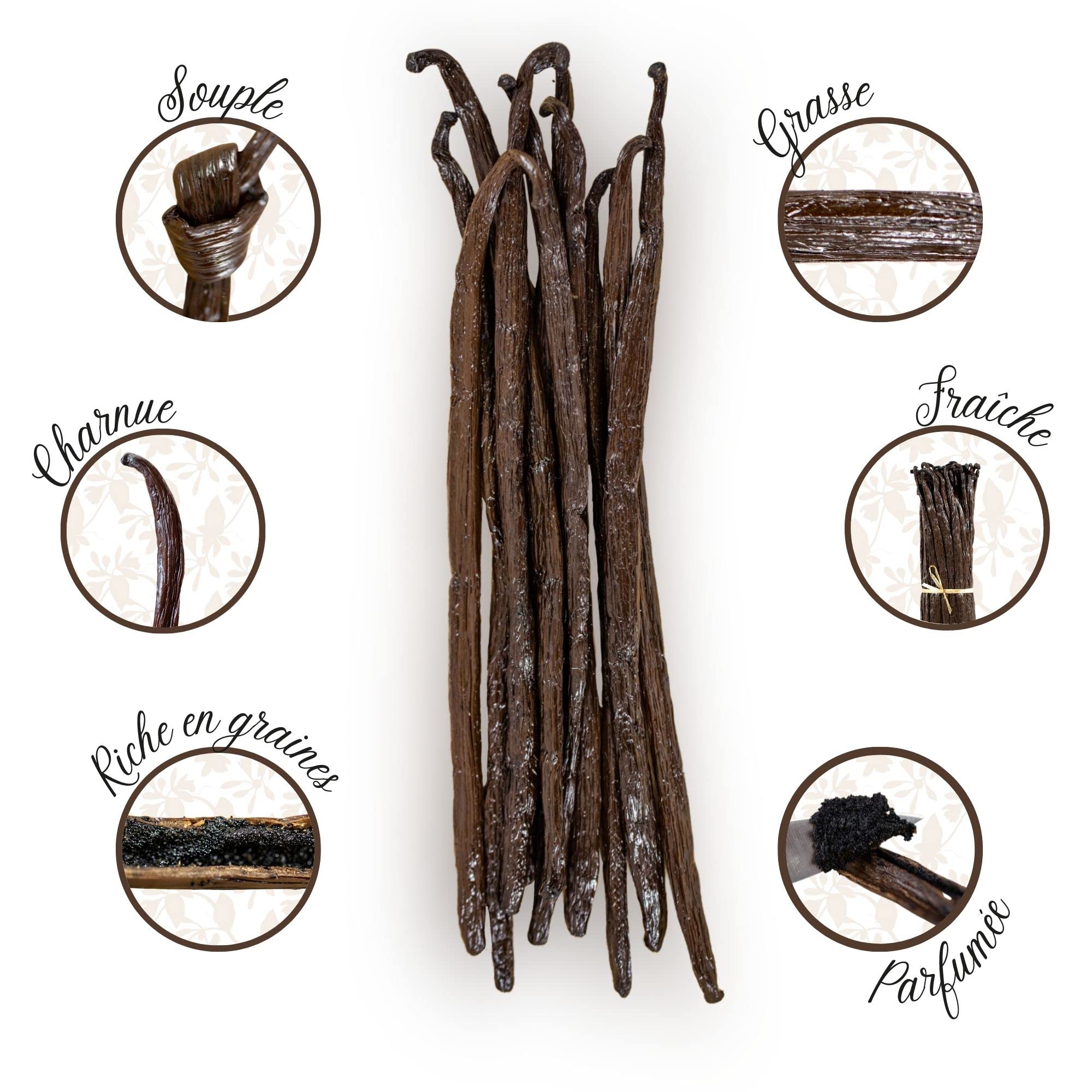 Mavany - 5 Gousses de VANILLE BOURBON DE MADAGASCAR - Sélection de qualité gourmet pour la pâtisserie/cuisine - Taille M 14 à 16 cm - Sachet fraîcheur refermable