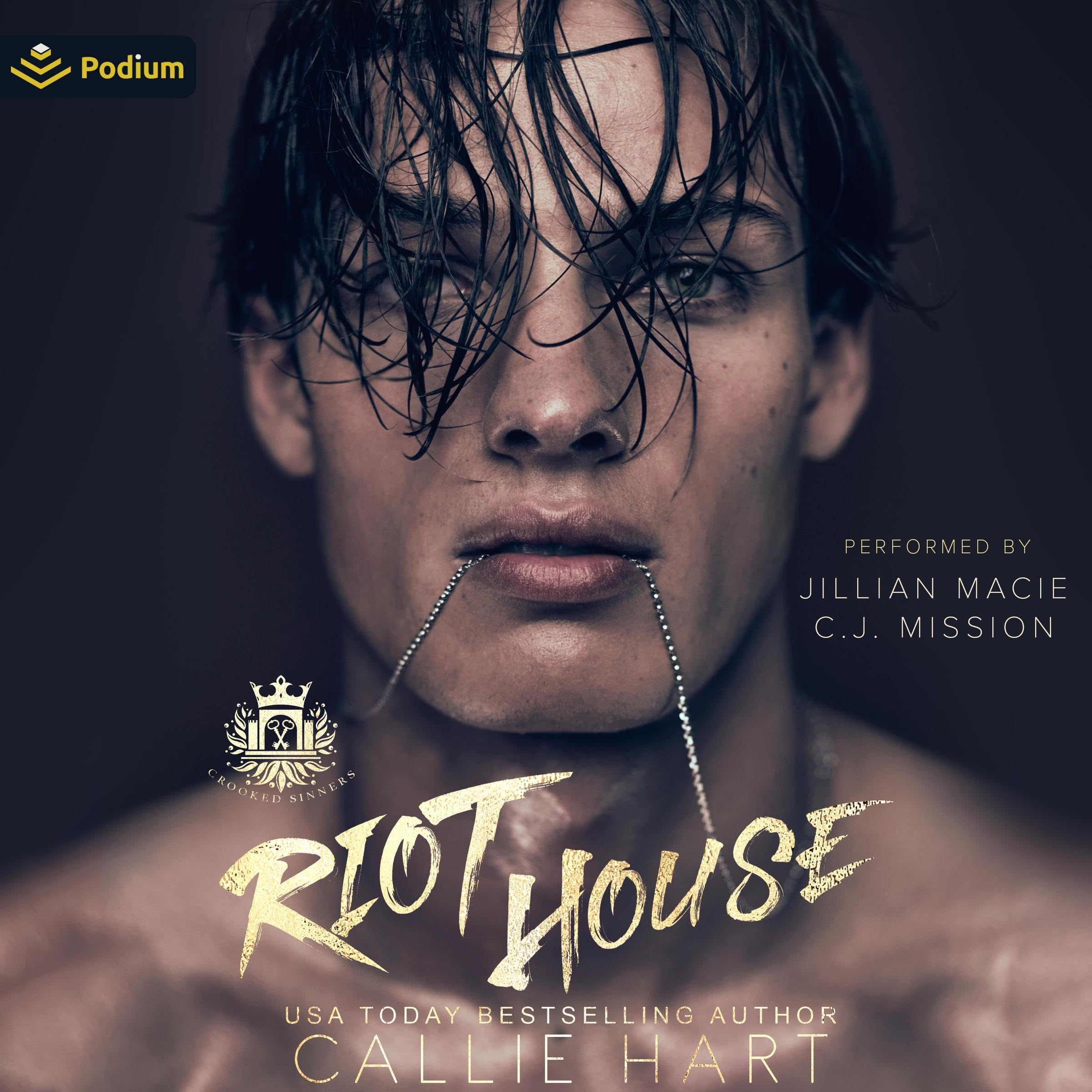 Cover art for Riot House
