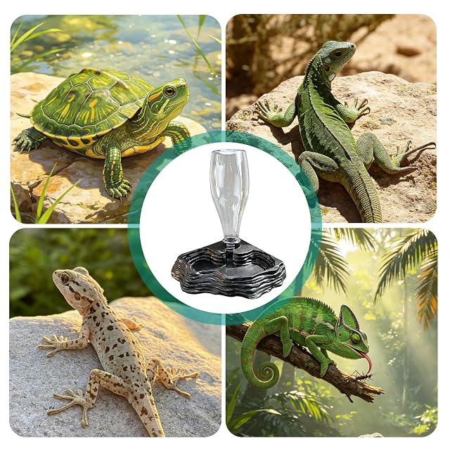 Foto 4 de 4 de Keltorio Cuenco de agua para reptiles, dispensador de agua para tortugas, 400 ml, gran volumen