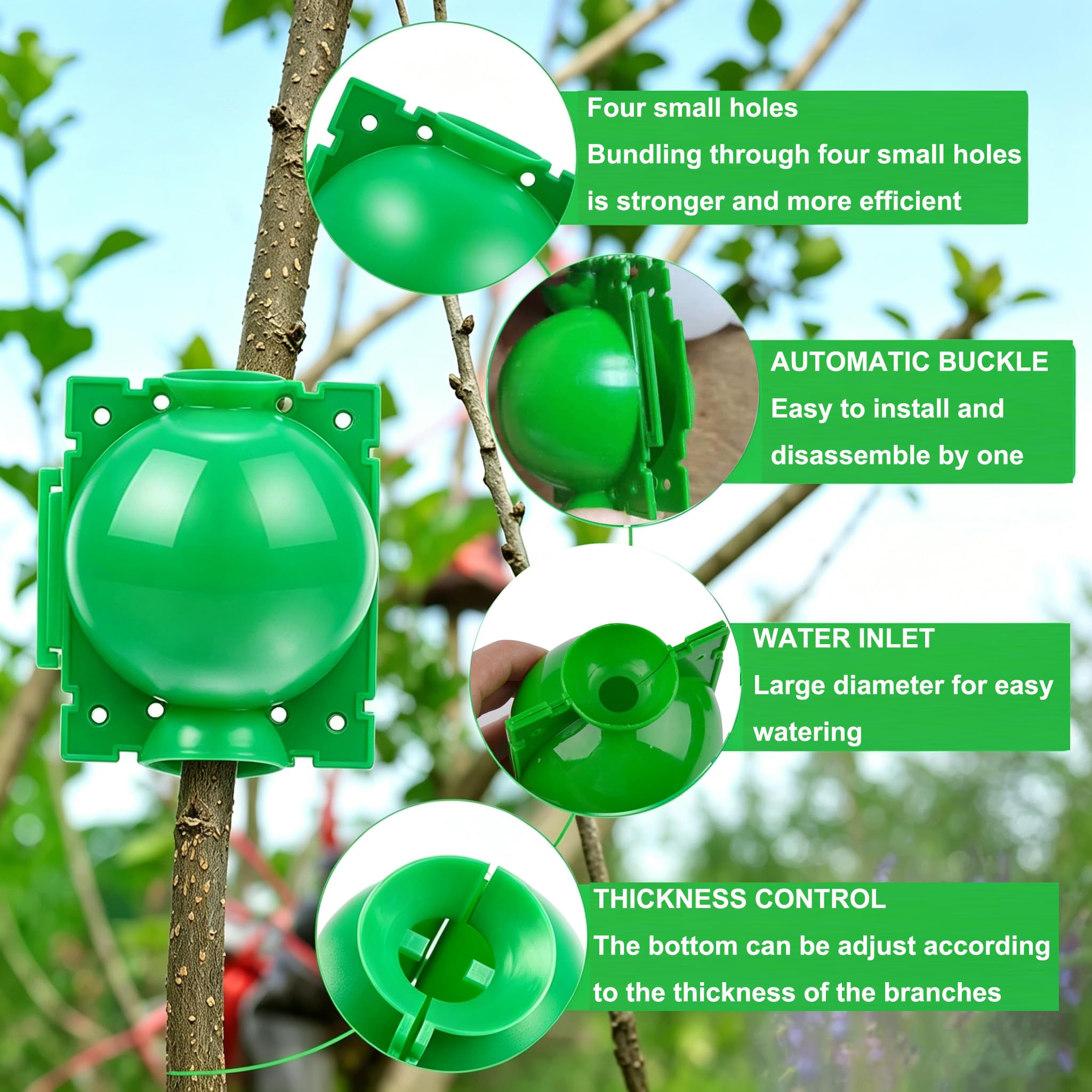 SAMSYOKI 30 Pièces Boîte d'Enracinement de Plante Boîtes à Racines de Plantes réutilisables Boîte de Greffage Boule de Propagation Haute Pression Dispositif De Racine De Plante (Vert)