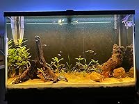 Review Image by Kurt Serafin-Olszowy Kurt Serafin-Olszowy