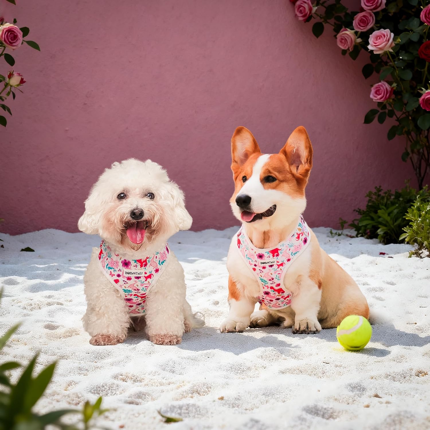 No Pull Printed Dog Vest Harness for Small&Medium Dogs, Side Clip Adjustable Pet Vest, Soft Breathable, Fashion Dog Harnesses for Walking, Running, Shopping(White, M)