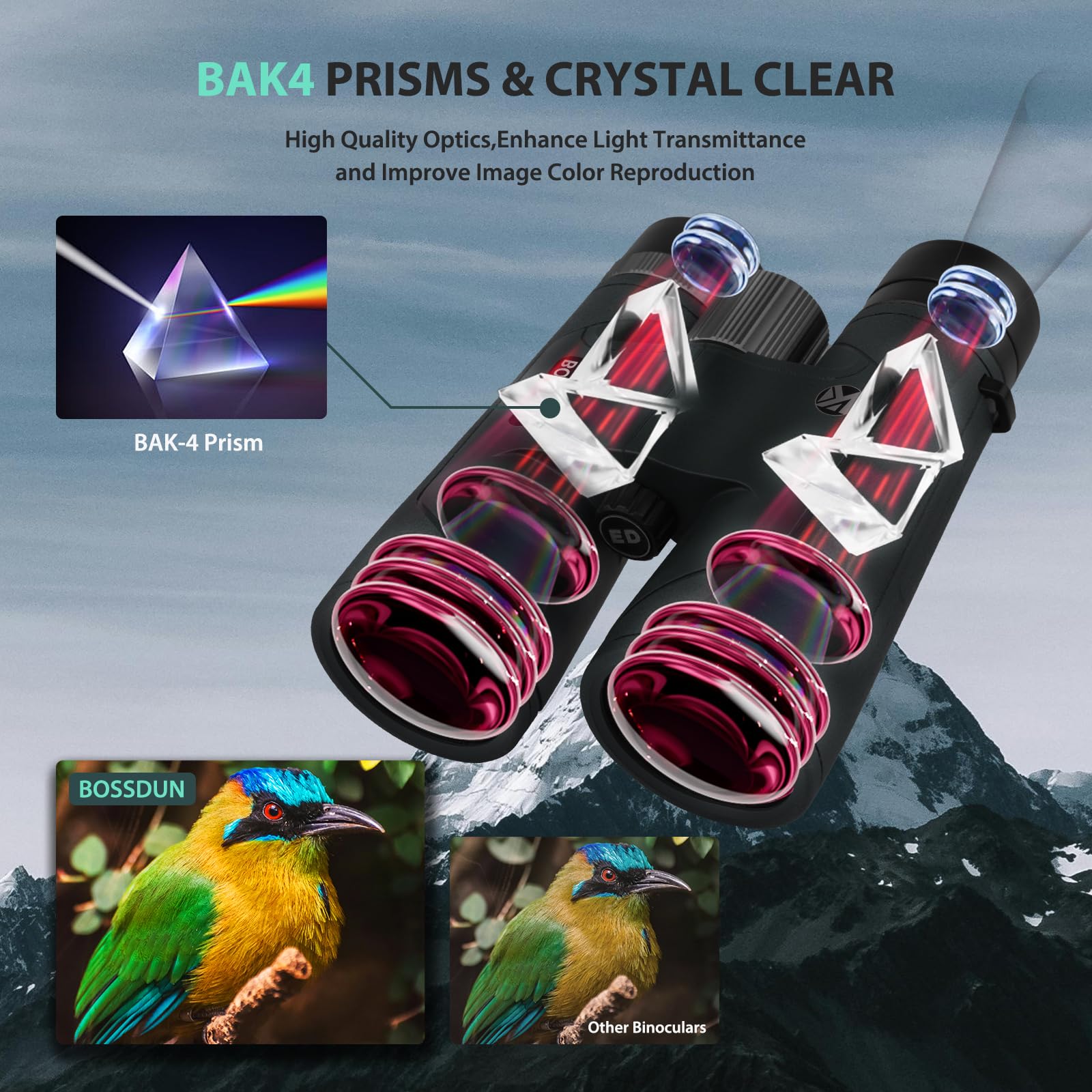 Jumelles 12x50 pour Adultes Jumelles Professionnelles Haute Puissance pour l'observation des Oiseaux avec Vision Nocturne en Basse lumière,étanches et antibuée pour la Chasse