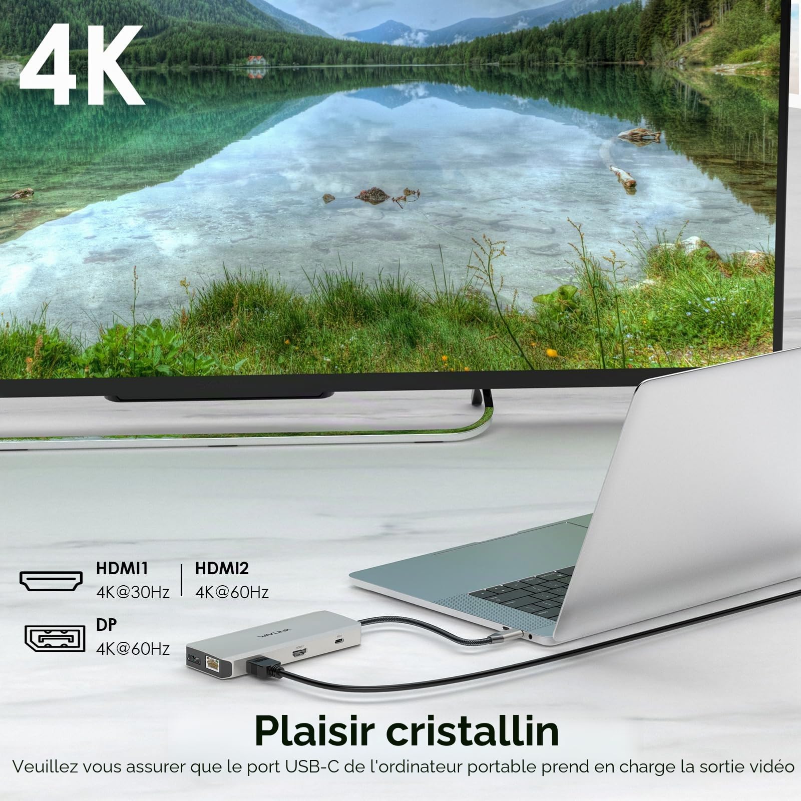 WAVLINK Station d'accueil USB-C 12-en-1, double HDMI, adaptateur multiport 4K Dual HDMI, DP, 100 W PD, USB3.0, USB2.0, RJ45, SD/TF, audio/Mic, pour