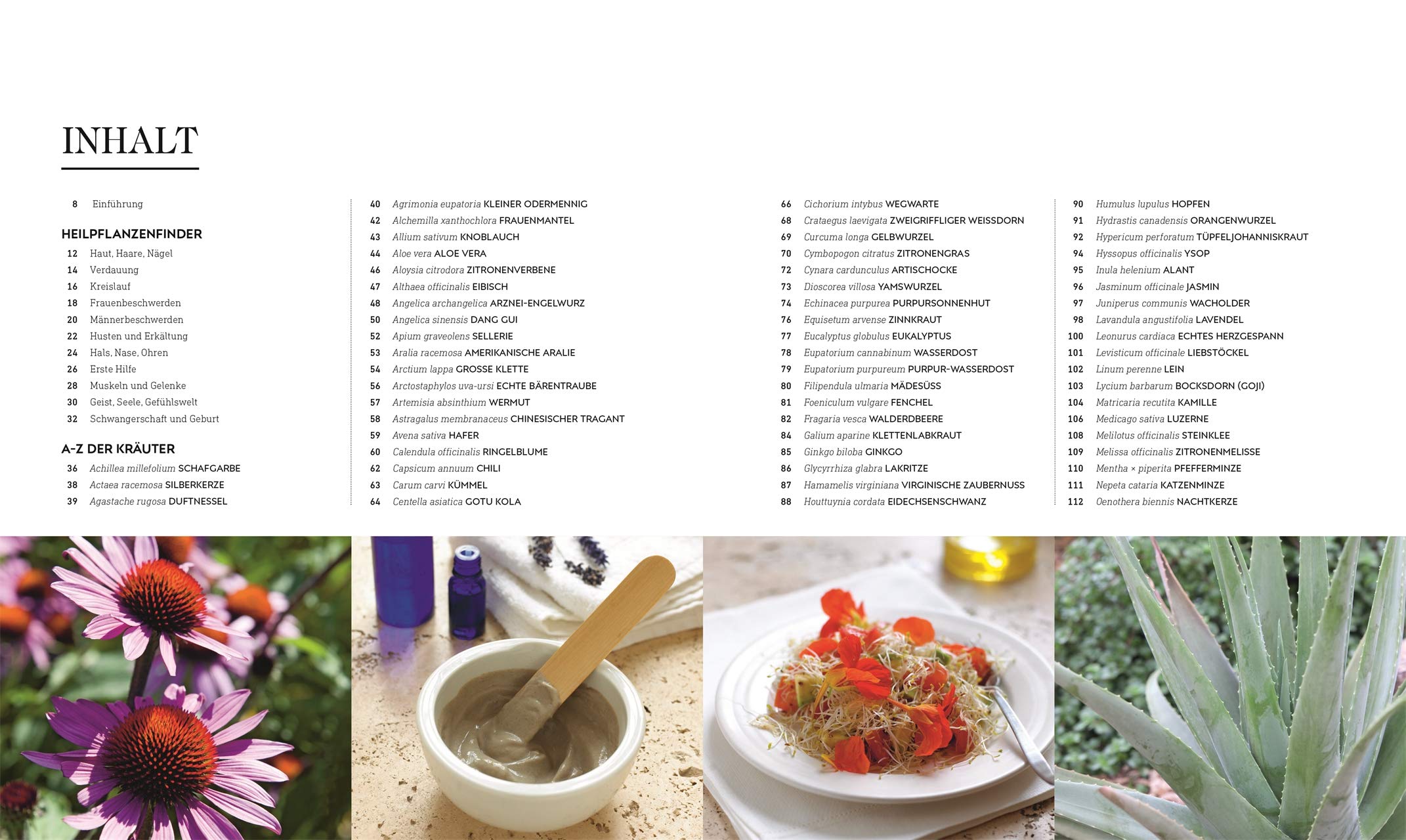 Das neue Praxisbuch Heilpflanzen: Sanfte und natürliche Anwendungen