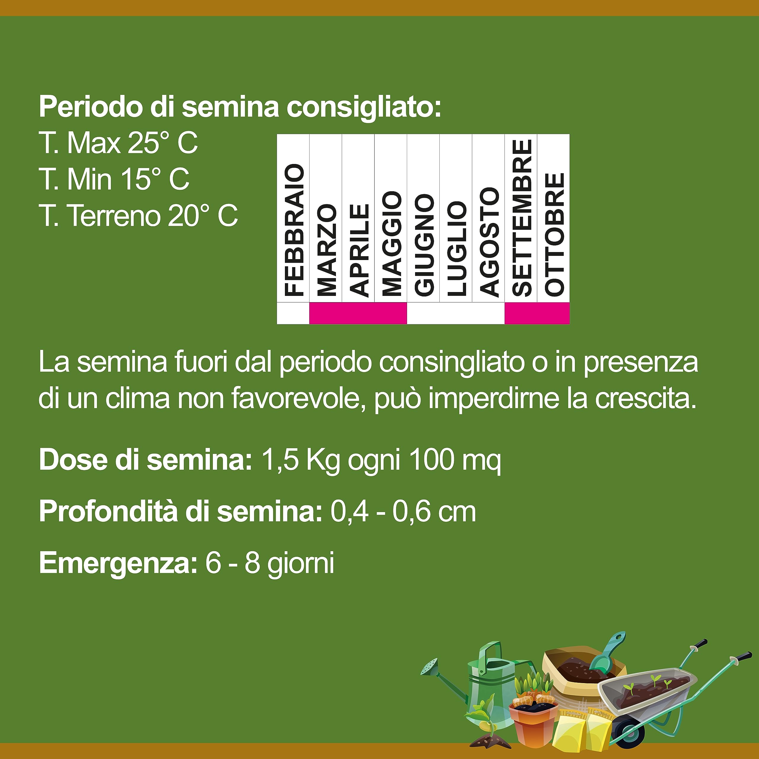 Il Contadino - Antiche Sementi | TRIFOGLIO BIANCO NANISSIMO con RHIZO | Tappeto con foglie molto piccole, Bassa manutenzione, Tagli poco frequenti, Abbastanza resistente all'ombreggiamento (5 Kg)