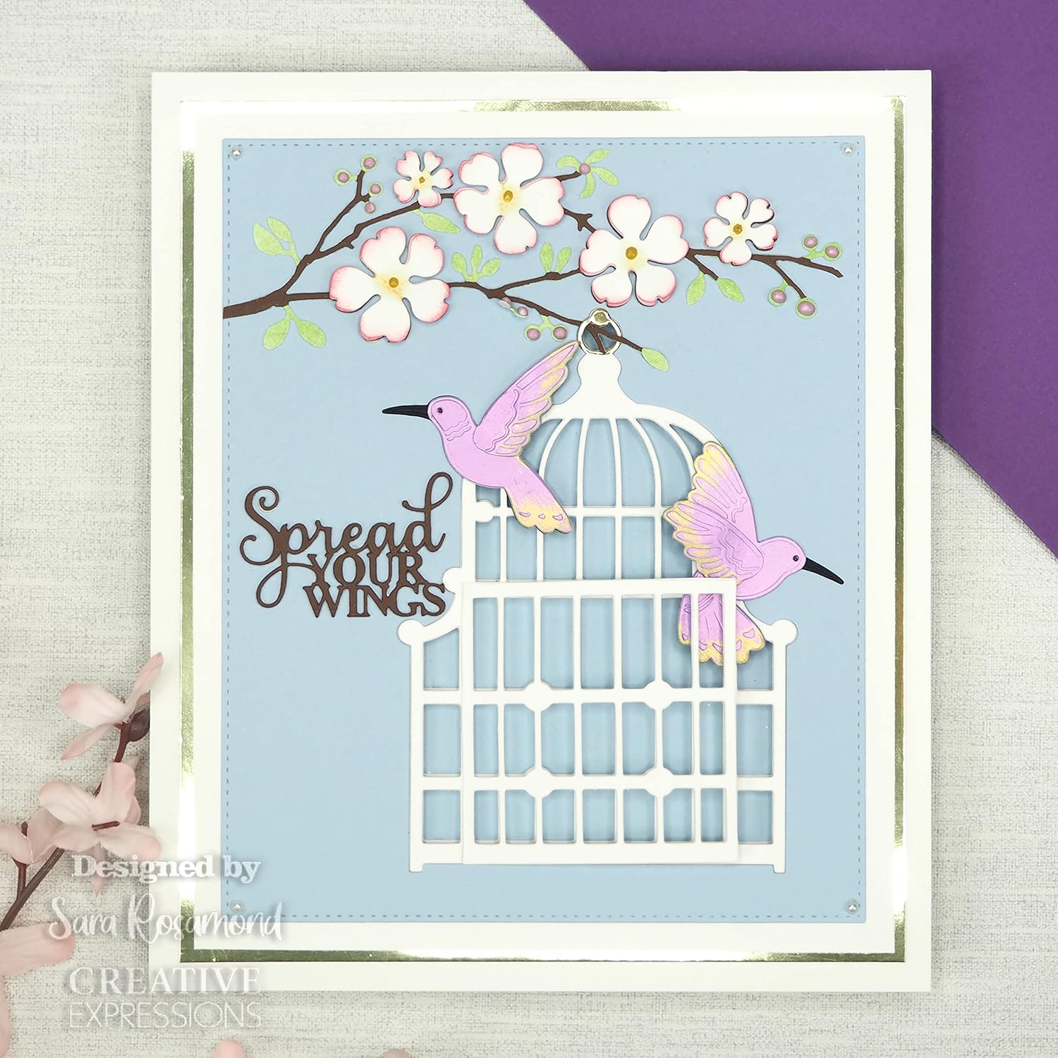 Creative Expressions Craft Dies By Sue Wilson-NecessitiesHummingbi