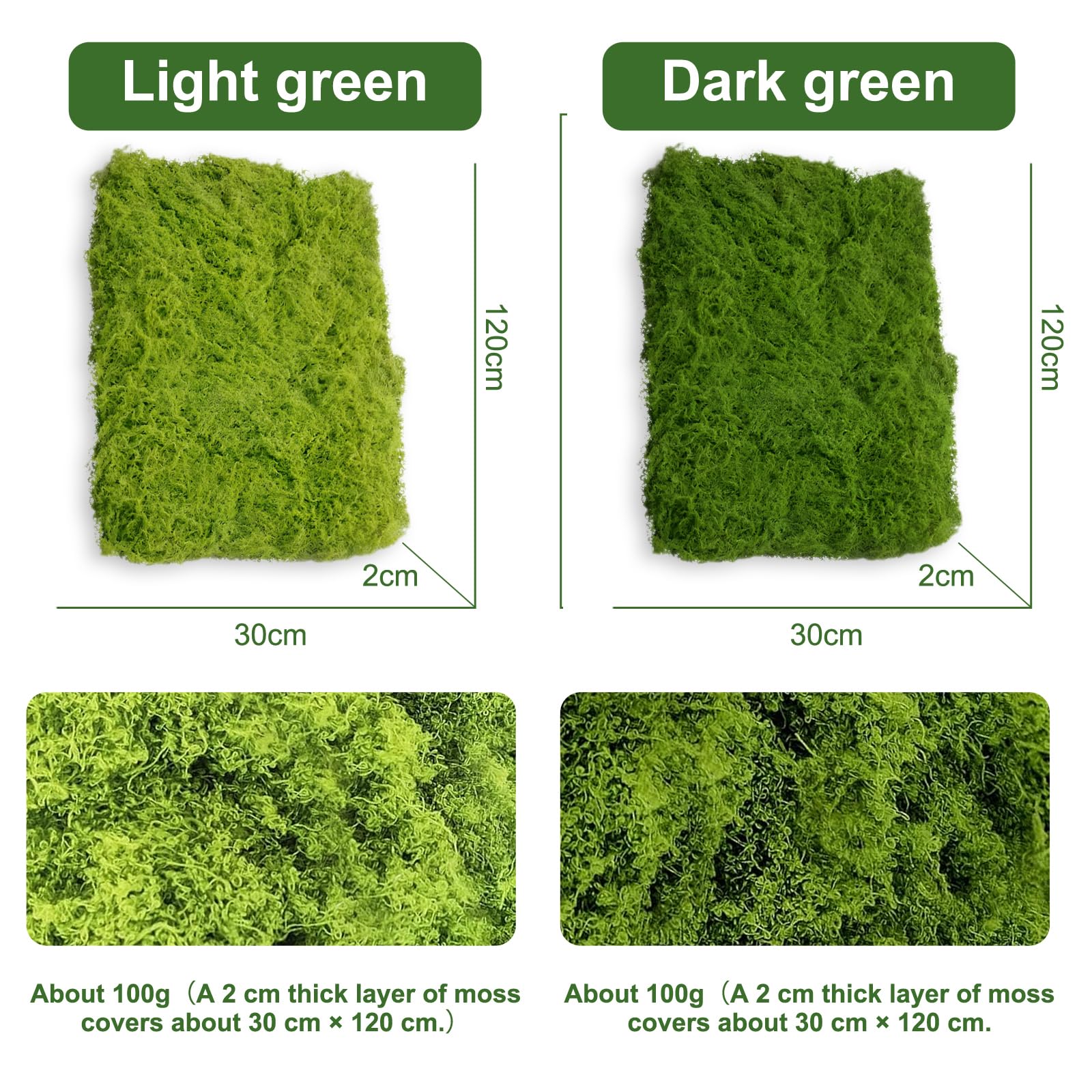Muschio Islandese Naturale Rayher 100g - Verde Chiaro Per Decorazioni