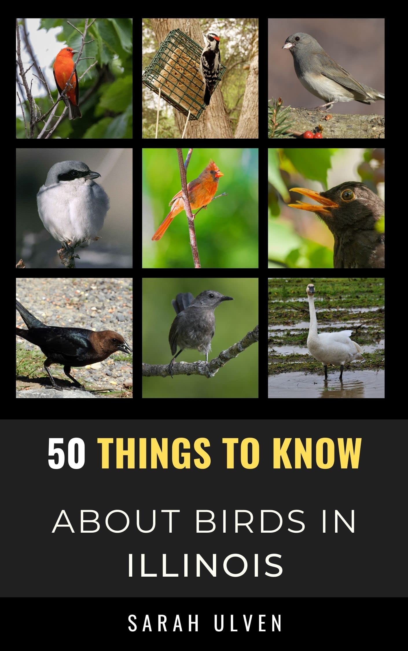 Buy 50 Things to Know About Birds in Illinois Birding in The Prairie State (50 Things to Know