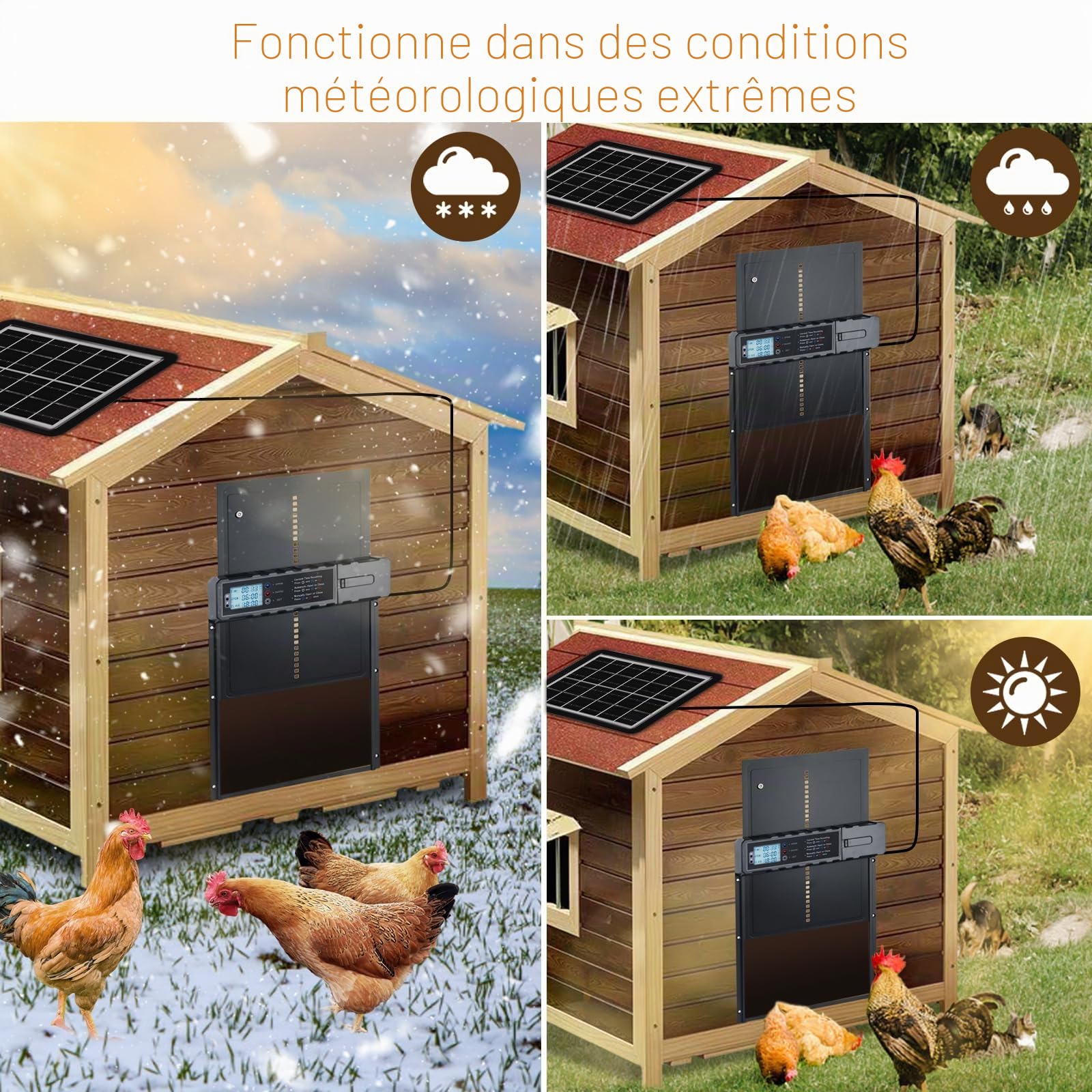 Grande porte automatique avec écran LCD, porte pour animaux de compagnie avec capteur solaire, porte automatique pour poulailler avec plusieurs modes de contrôle