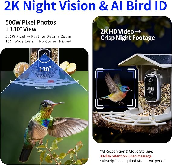 Origem 1.7L Bird Feeder Camera 2K, Solar Smart Bird Feeder with AI Identify