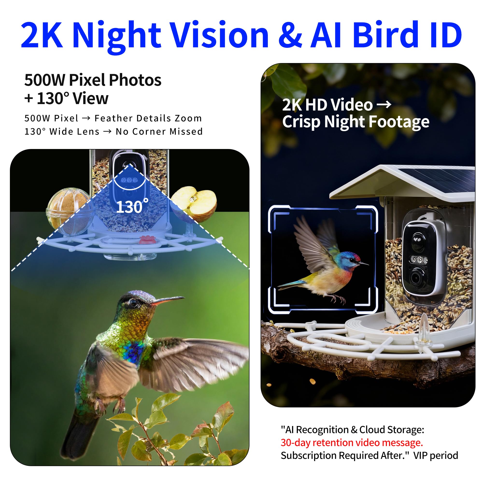 Origem Comedero Pájaros Exterior con Cámara 2K Solar, Tarjeta SD 64 GB | Comedero inteligente 1,7 L, cámara con visión nocturna, identificación IA de aves, IP65 y avisos instantáneos al móvil
