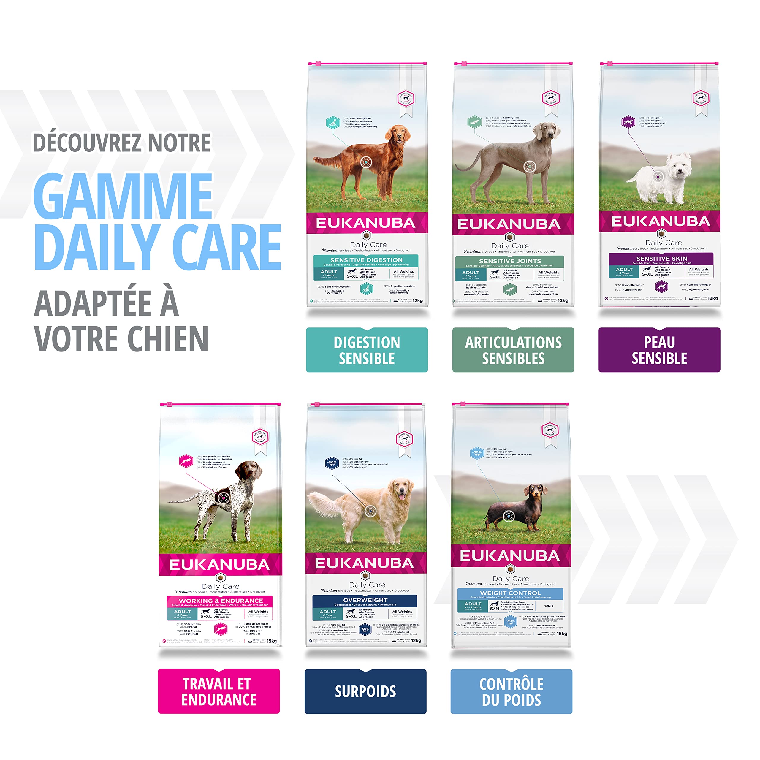 Eukanuba Chien Daily Care Adulte Contrôle de Poids Pour Grande Race Poulet 15kg