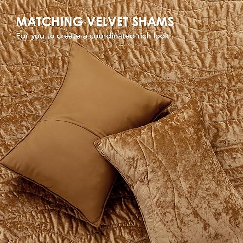 Miniatura 4 de EVERGRACE Juego de edredón de terciopelo de lujo tamaño Queen, juego de ropa de cama de terciopelo aplastado ultrasuave, juego de edredón ligero
