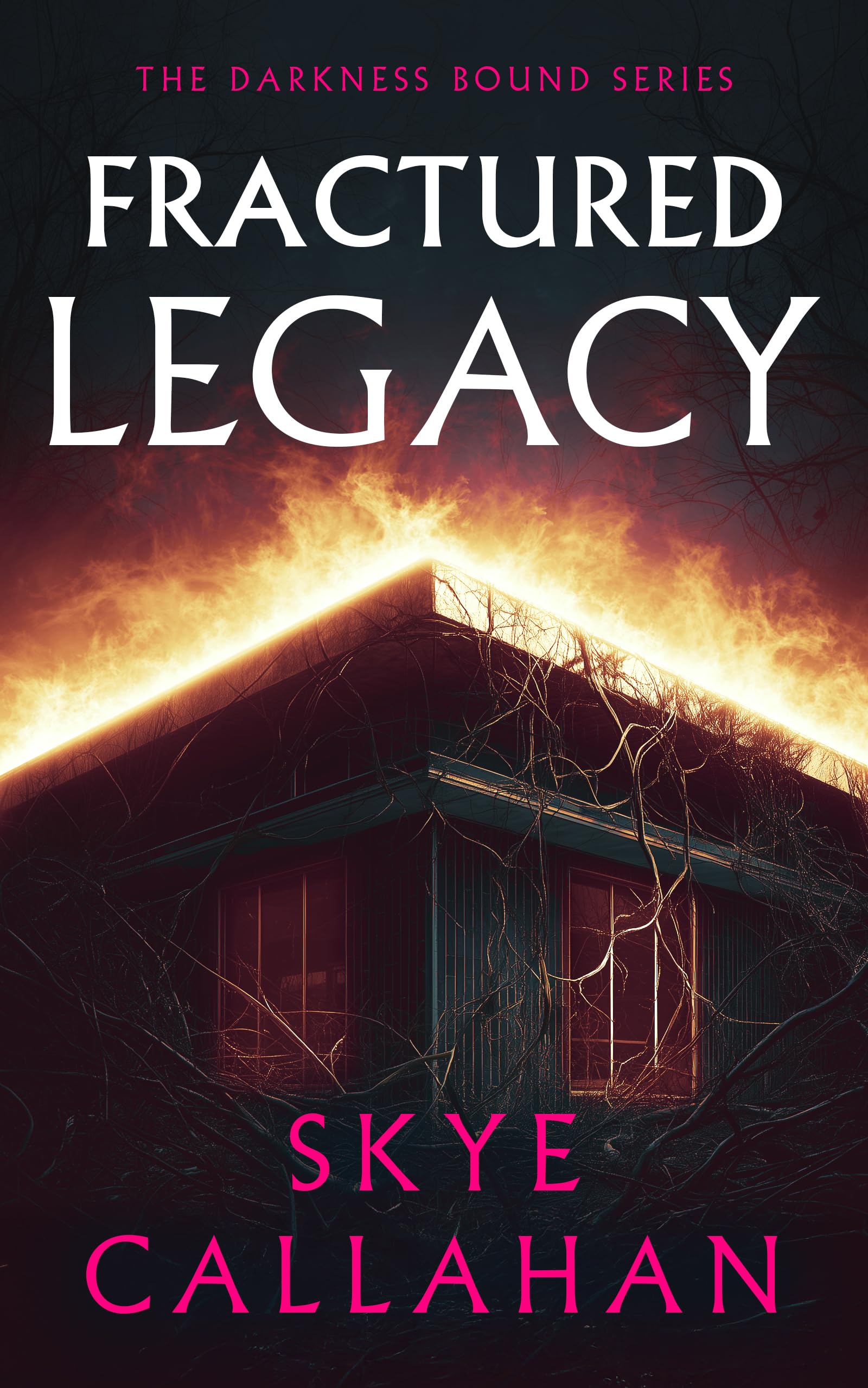 Fractured Legacy: 1 (Darkness Bound)