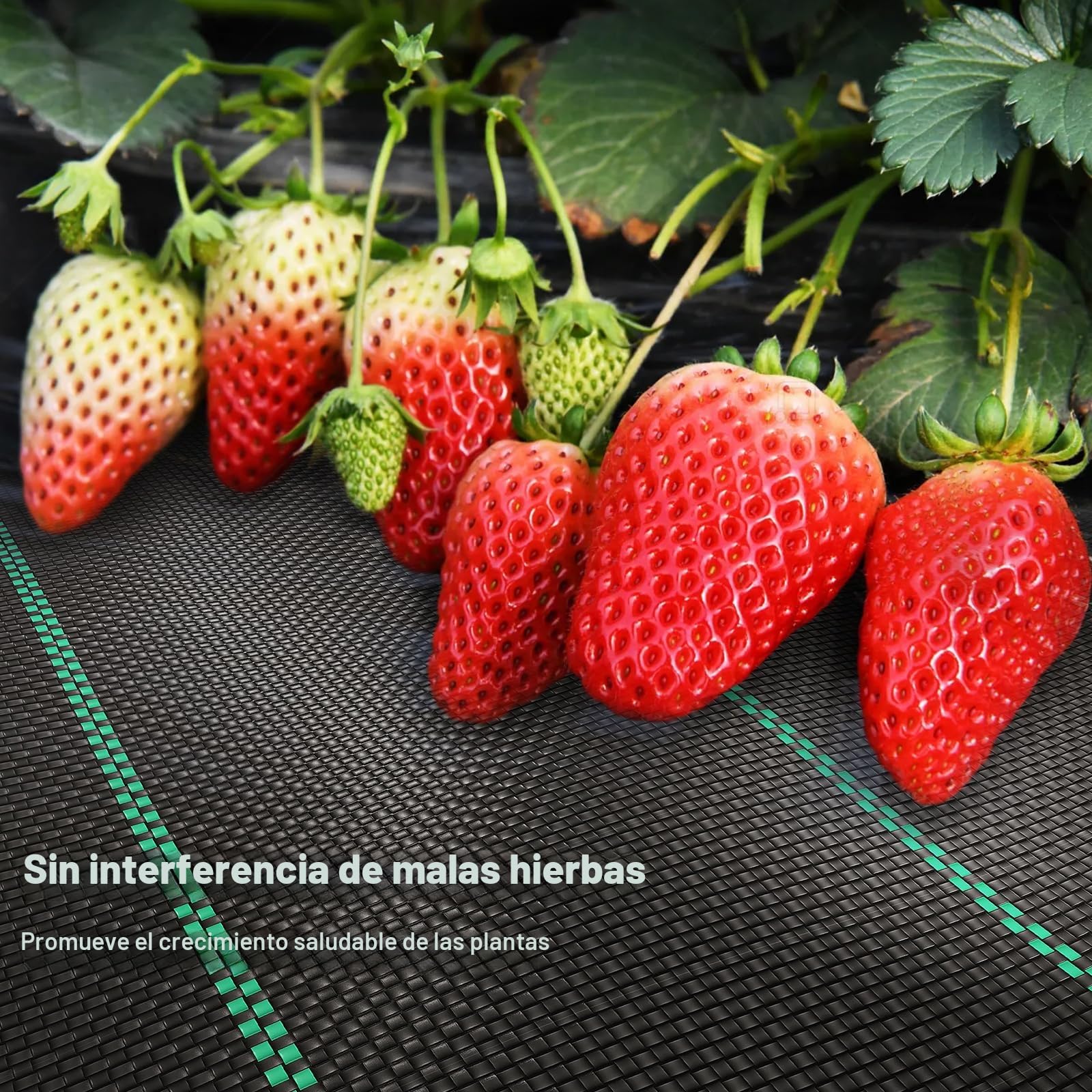 3 x 25 m Malla Antihierbas, Malla contra Malas Hierbas, 90 g/m² Geotextil, Protección césped Artificial, Lona antimalezas jardín, Anti-UV, Negro