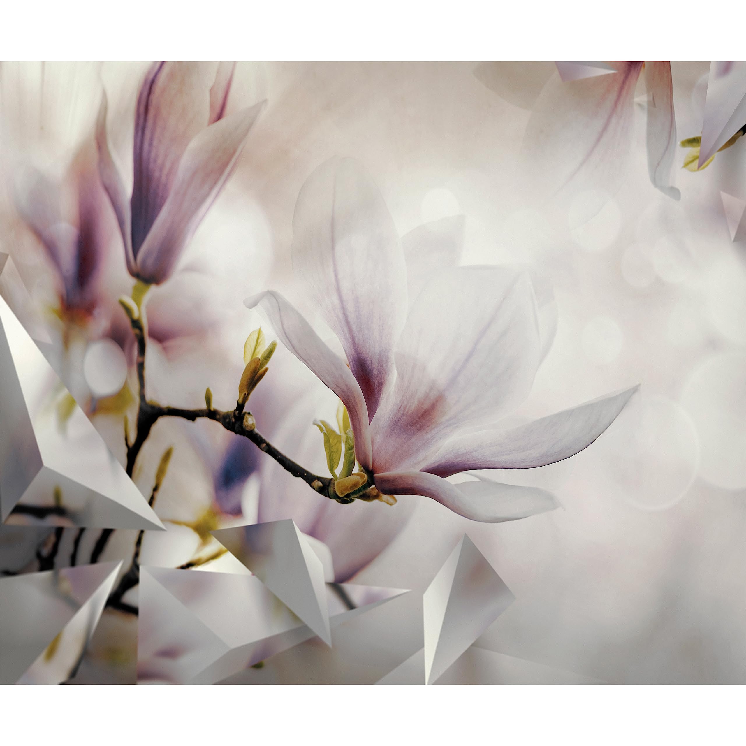 murando Fototapete selbstklebend Abstrakt 490x350cm - Foto Tapete Tapetenfolie Möbelfolie Wandverkleidung Wandtapete Motivtapeten Bildtapete Wohnzimmer 3d Effekt Modern Blumen Magnolien rosa weiß 3D