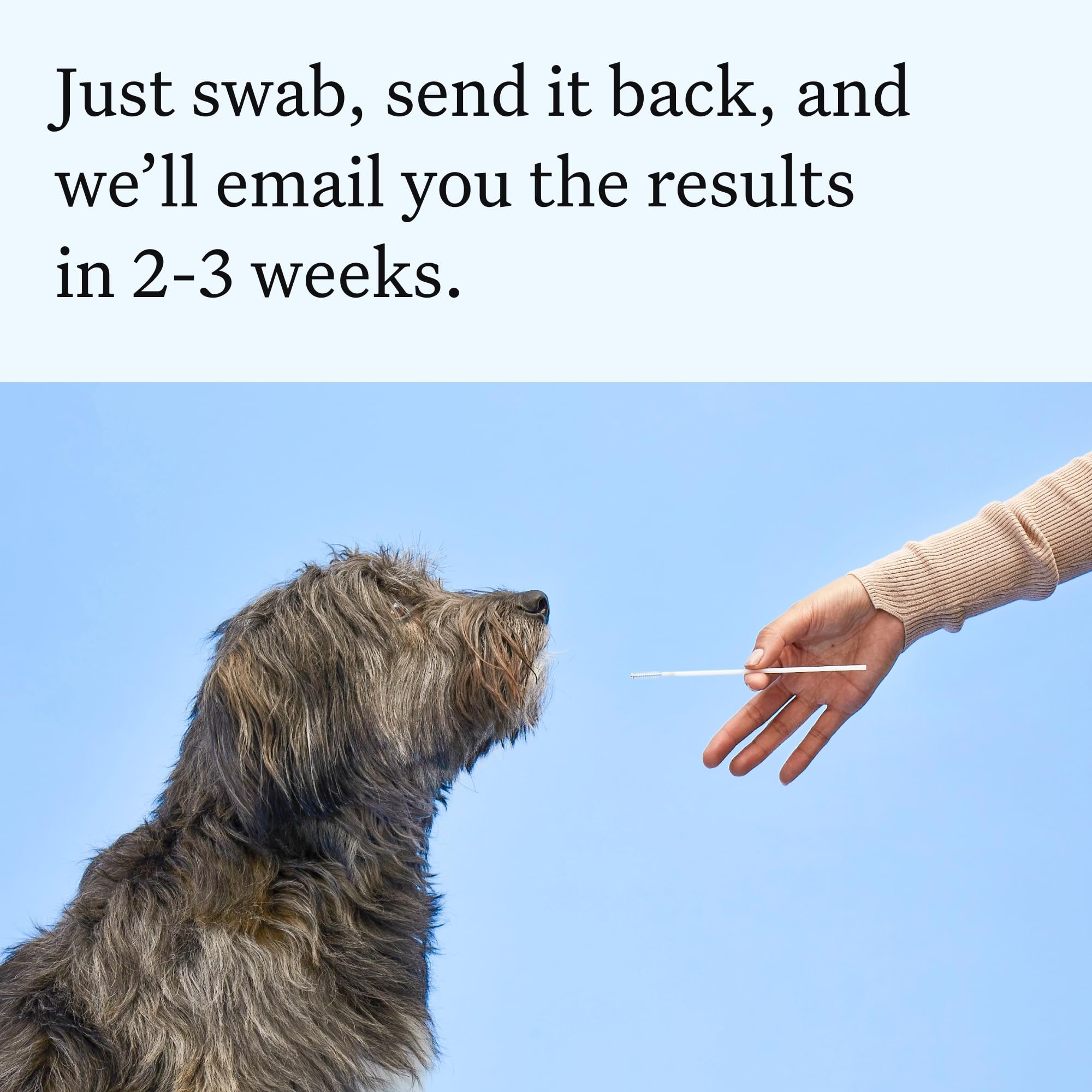 Wisdom Panel Essential Dog DNA Test Kit — Amazon image 8