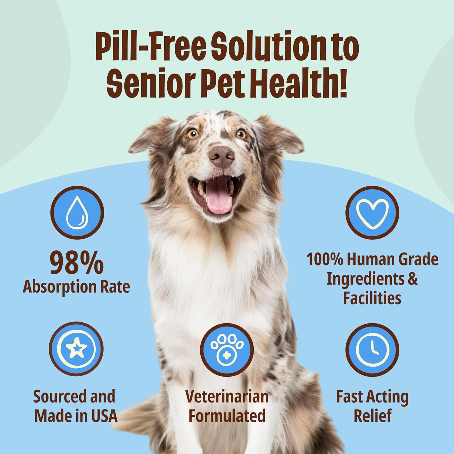 Licks Pill-Free Dog Joint and Heart - Glucosamine & Omega 3 Fish Oil Supplement for Dogs - Inflammation Supplements for Joint Support - Gel Packets - 30 Use