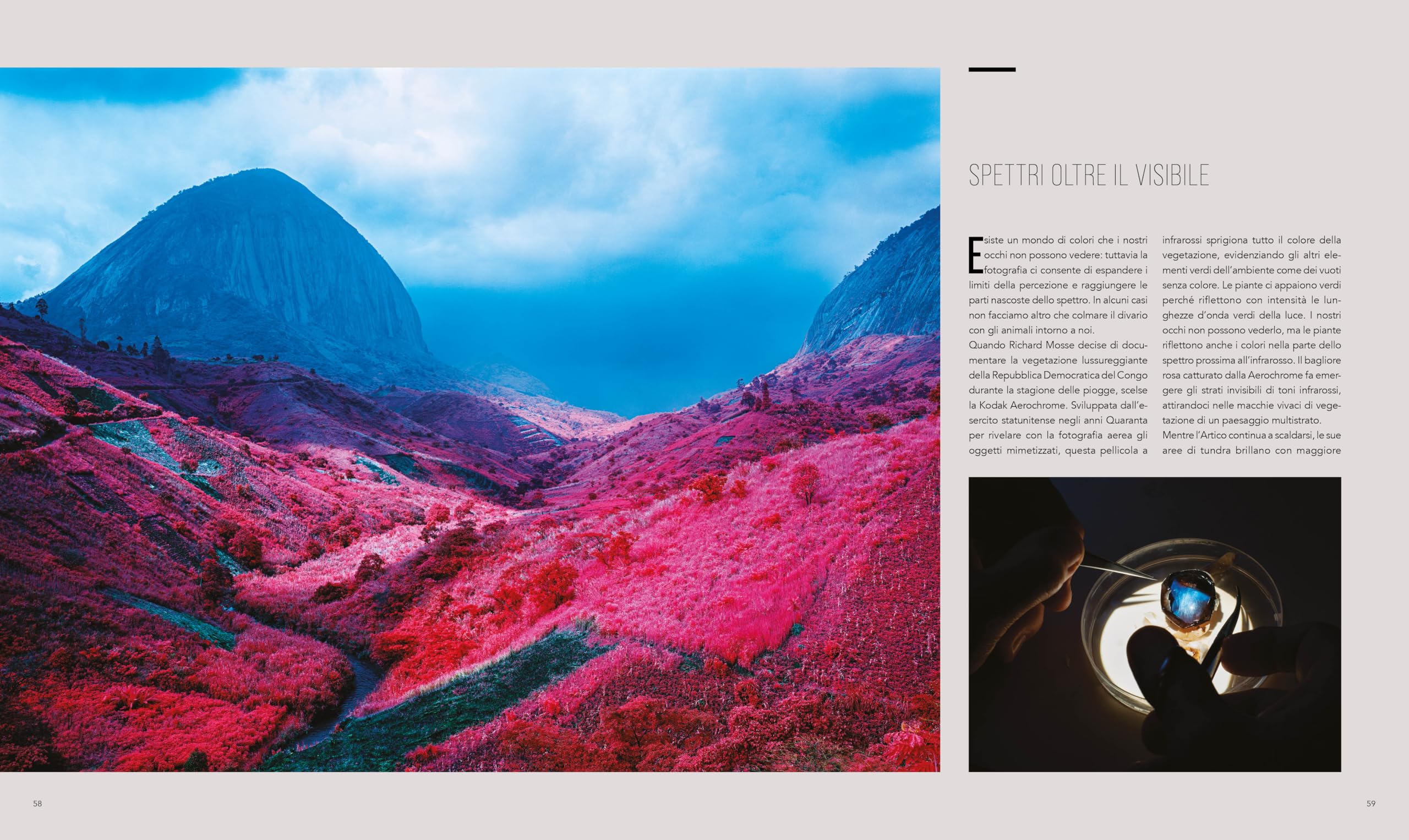 Il mondo dall'alto. Ediz. a colori
