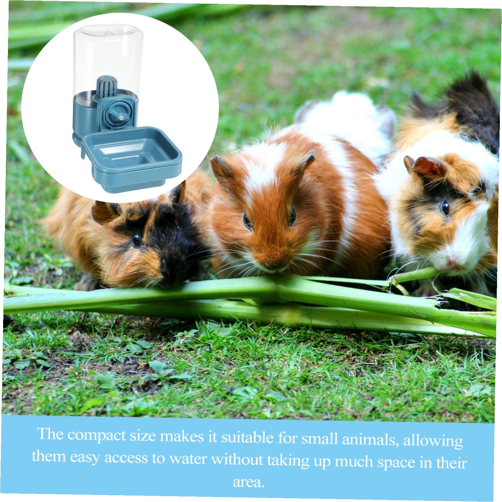 ORFOFE Distributore d Acqua per Conigli Mangiatoia Sospesa per Piccoli Animali Domestici Facile da Pulire e Resistente all Usura Design di Perdite