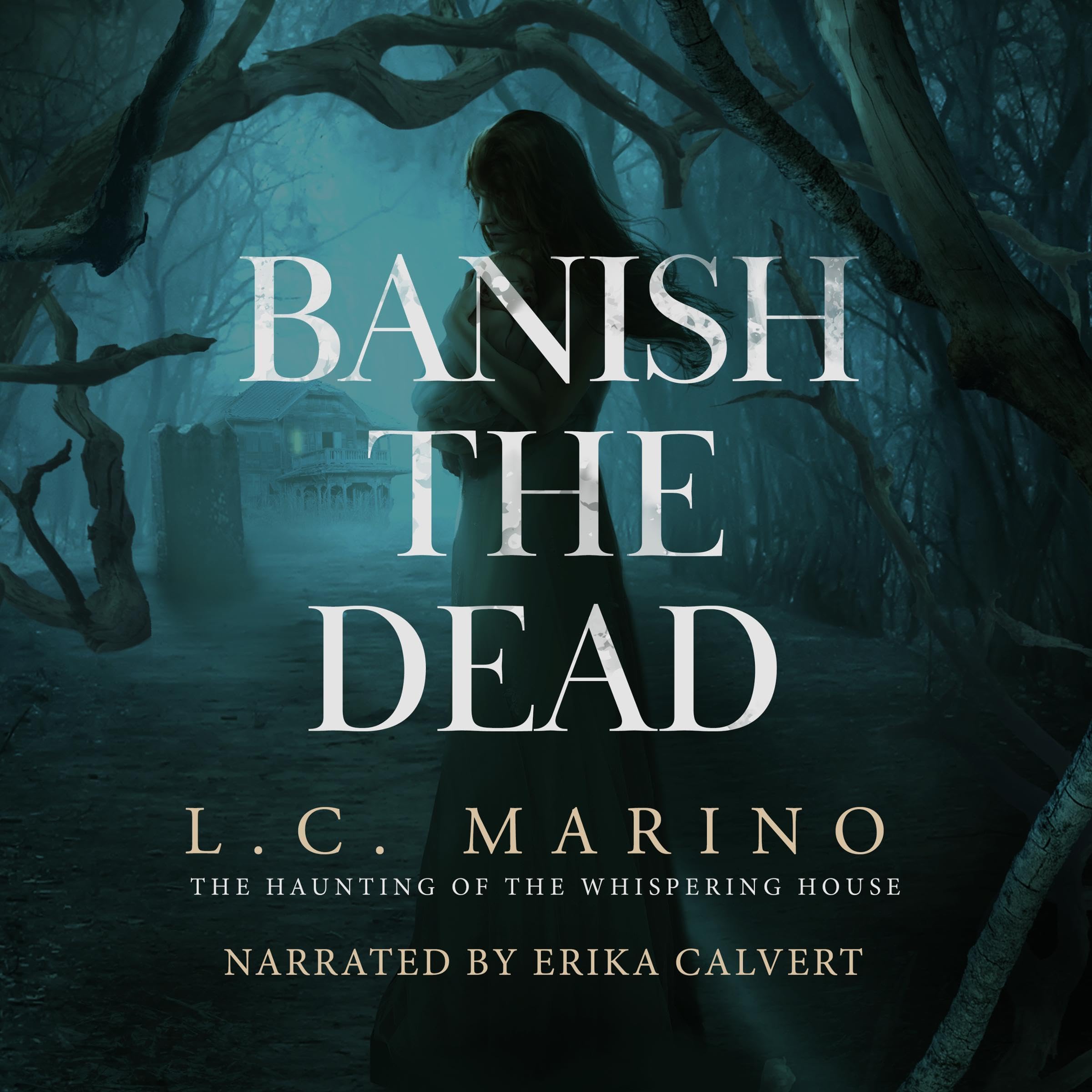 Cover art for Banish the Dead