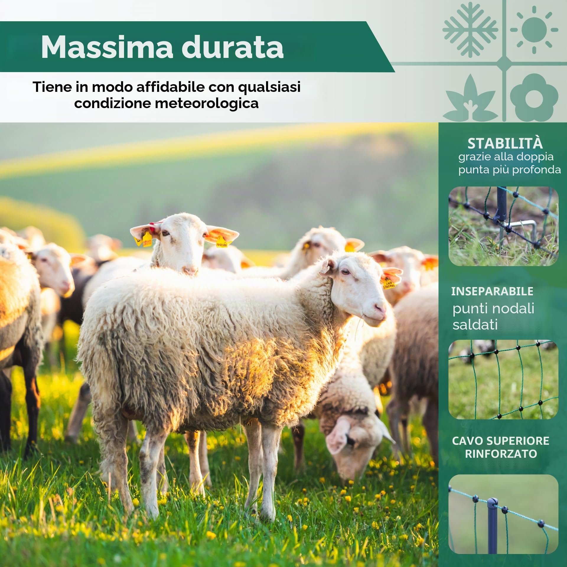 Agrarzone Rete per pecore elettrificabile Classic 50 m x 108 cm - Robusta e sicura con doppia punta - Ideale per pecore, capre, agnelli e pollame - Include pali e accessori