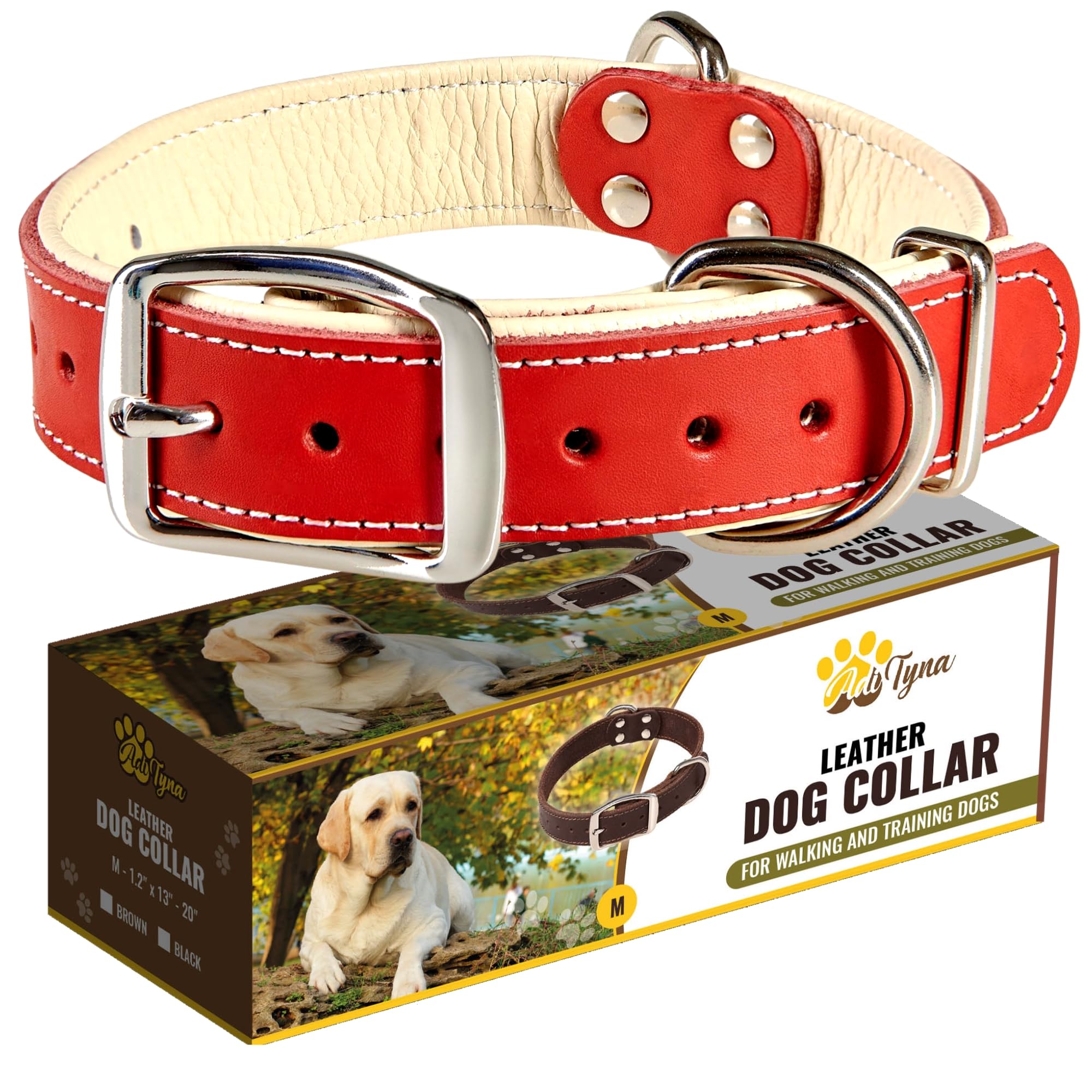 ADITYNA Heavy-Duty Leather Dog Collar for Medium Dogs - Soft Padded for Comfort - Red Dog Collar for Walking, Training, and Hiking