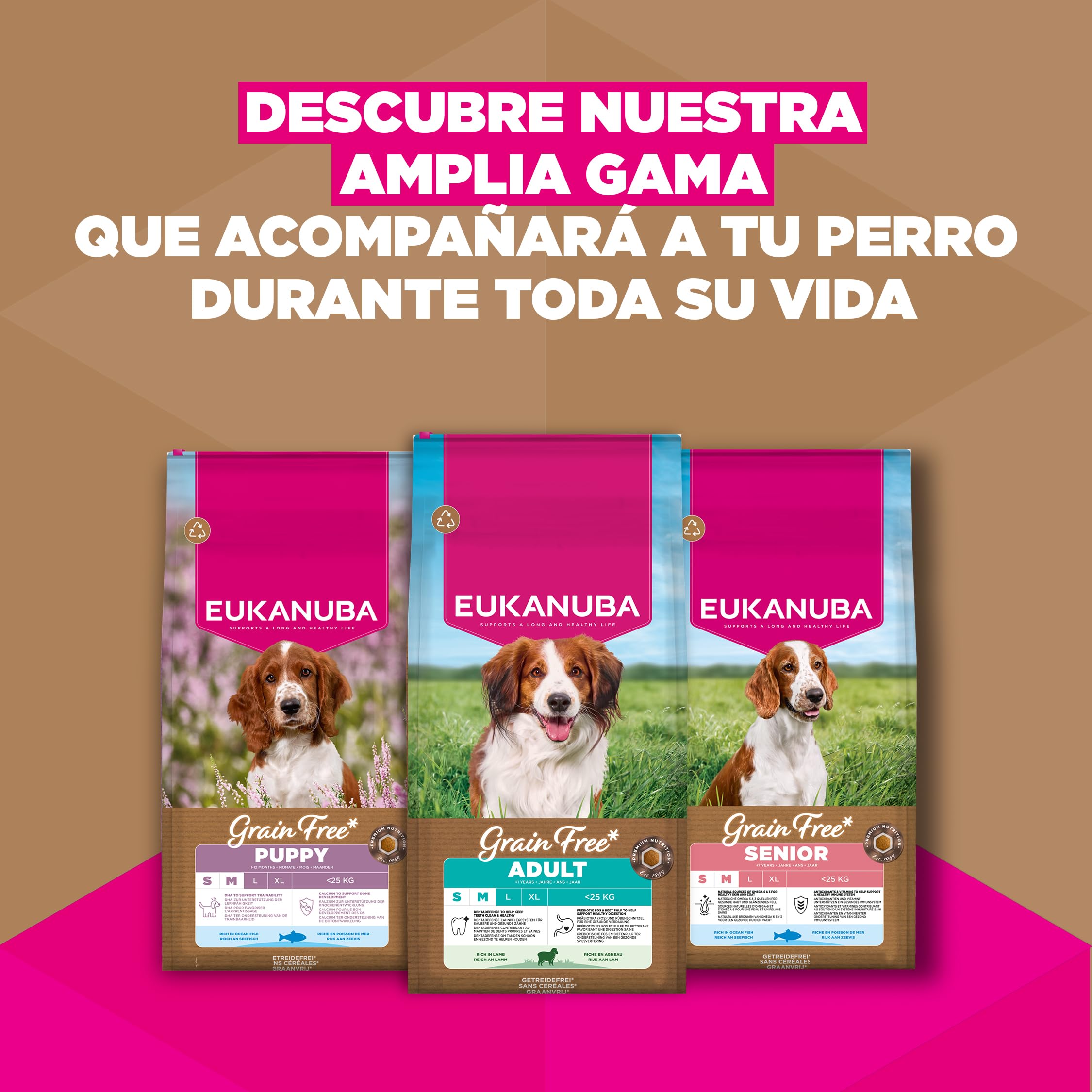 Eukanuba, alimento para Perros sin Cereales con Cordero para Razas pequeñas y Medianas - Alimento seco Premium sin Cereales para Perros Adultos, 12 kg