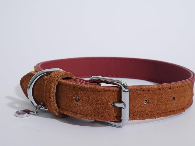 Foto 2 de 5 de Rosewood Collar de Perro de Cuero de Lujo, 50-24 Pulgadas, Suave al Tacto Rojo