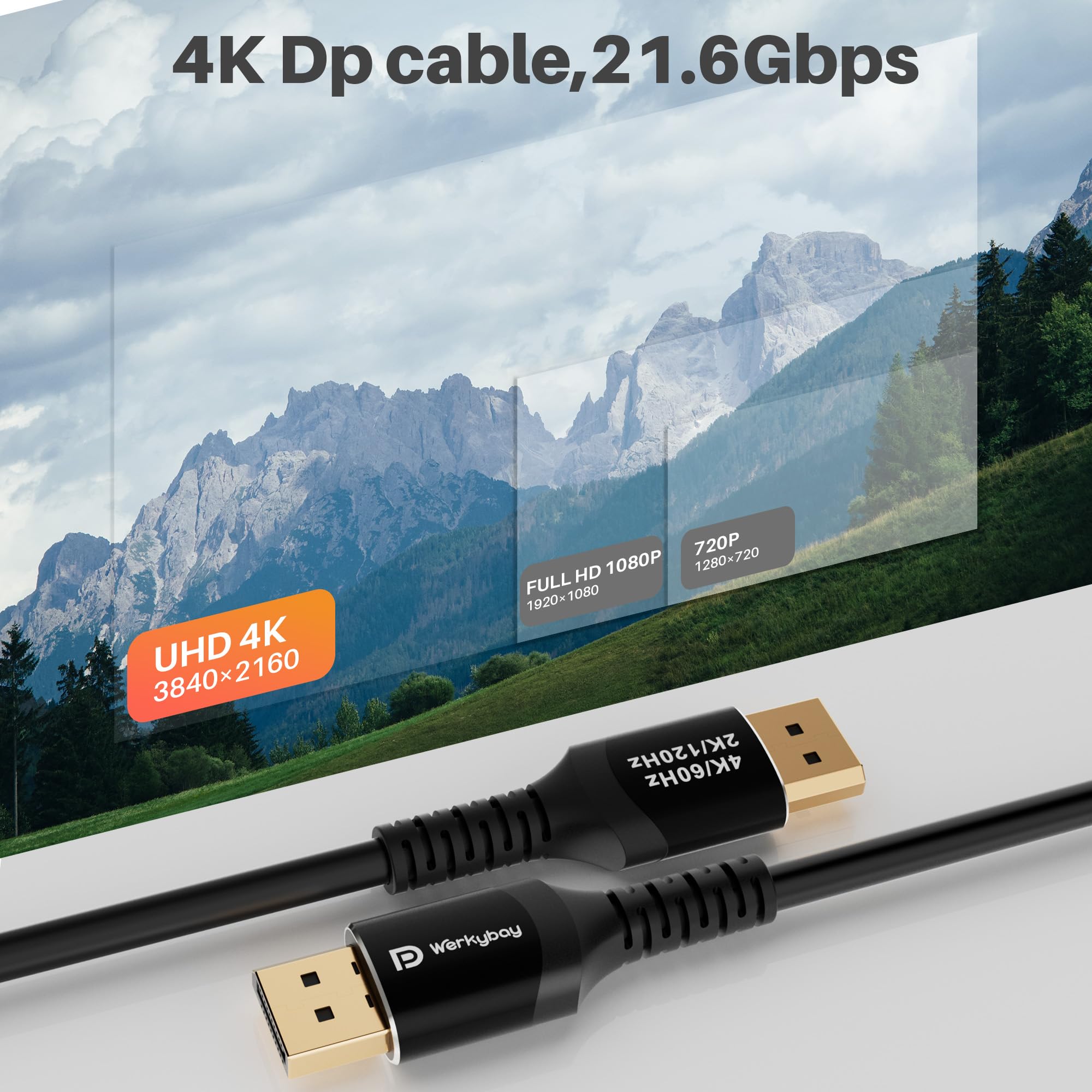 Câble DisplayPort 15 m 4K@60Hz VESA DP 1.2 mâle-mâle noir pour PC moniteur TV