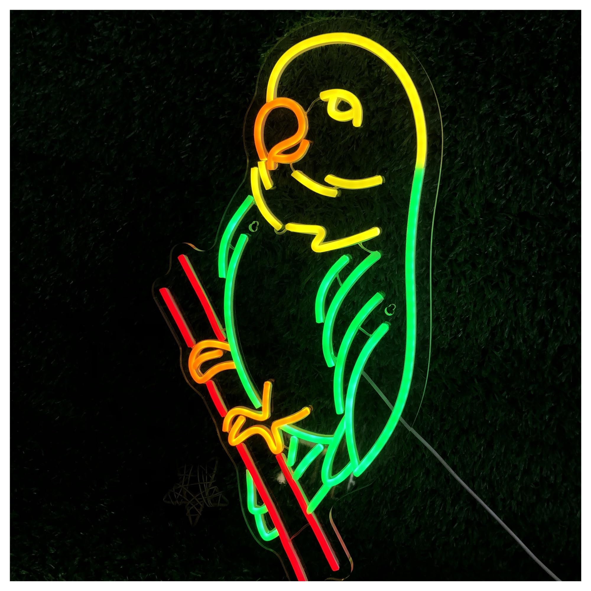 XENITE Hanging Art Neon Signs Budgie Neon Sign Home Kid Room Tropical-Themed Decor Children's Room Design and Relaxed Atmosphere Decoration for Leisure Areas 50x35cm