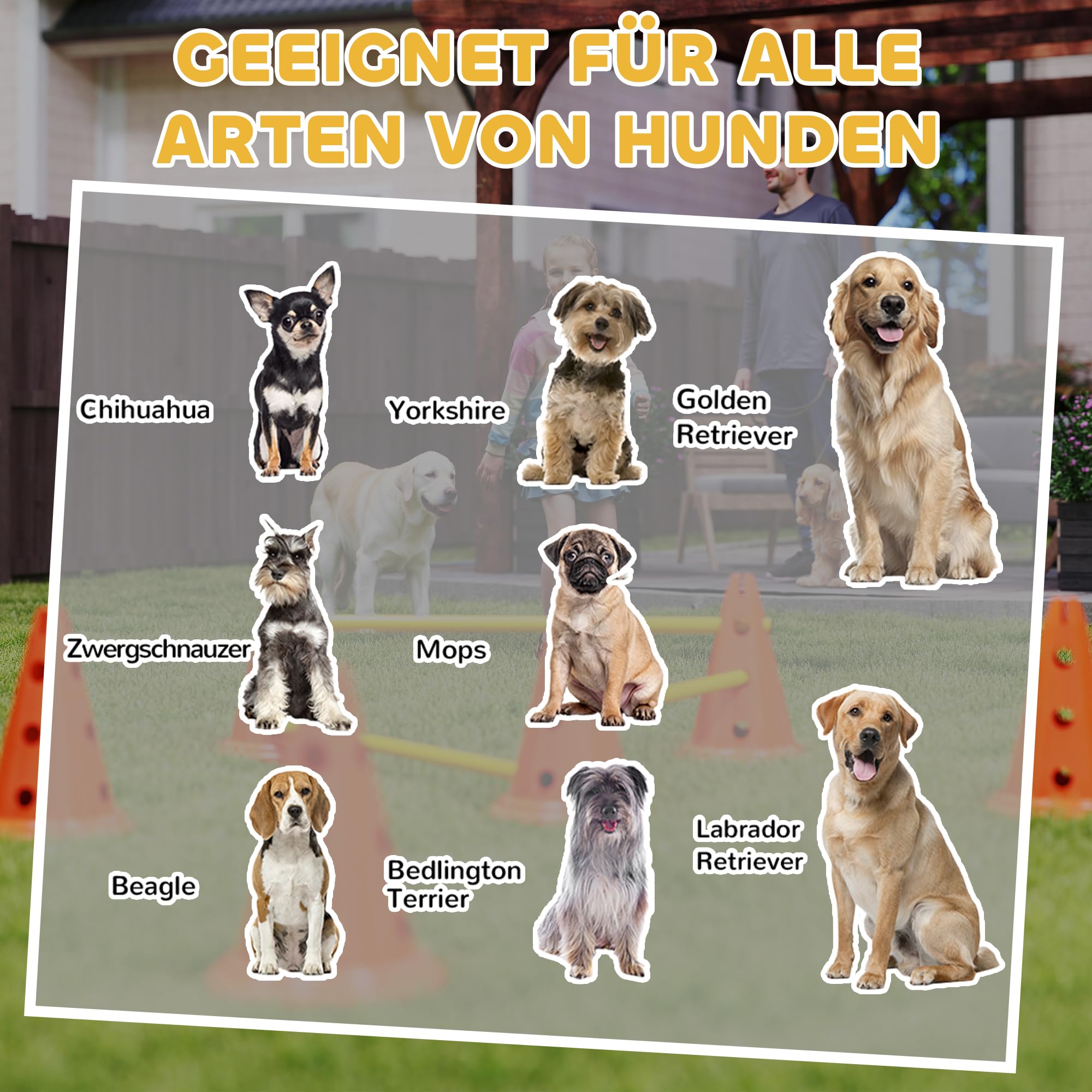 PawHut Set Agilidad Perros 6 Piezas Equipo 12 Conos Naranja | 6 vallas de altura ajustable, bolsa transporte, set entrenamiento para perros