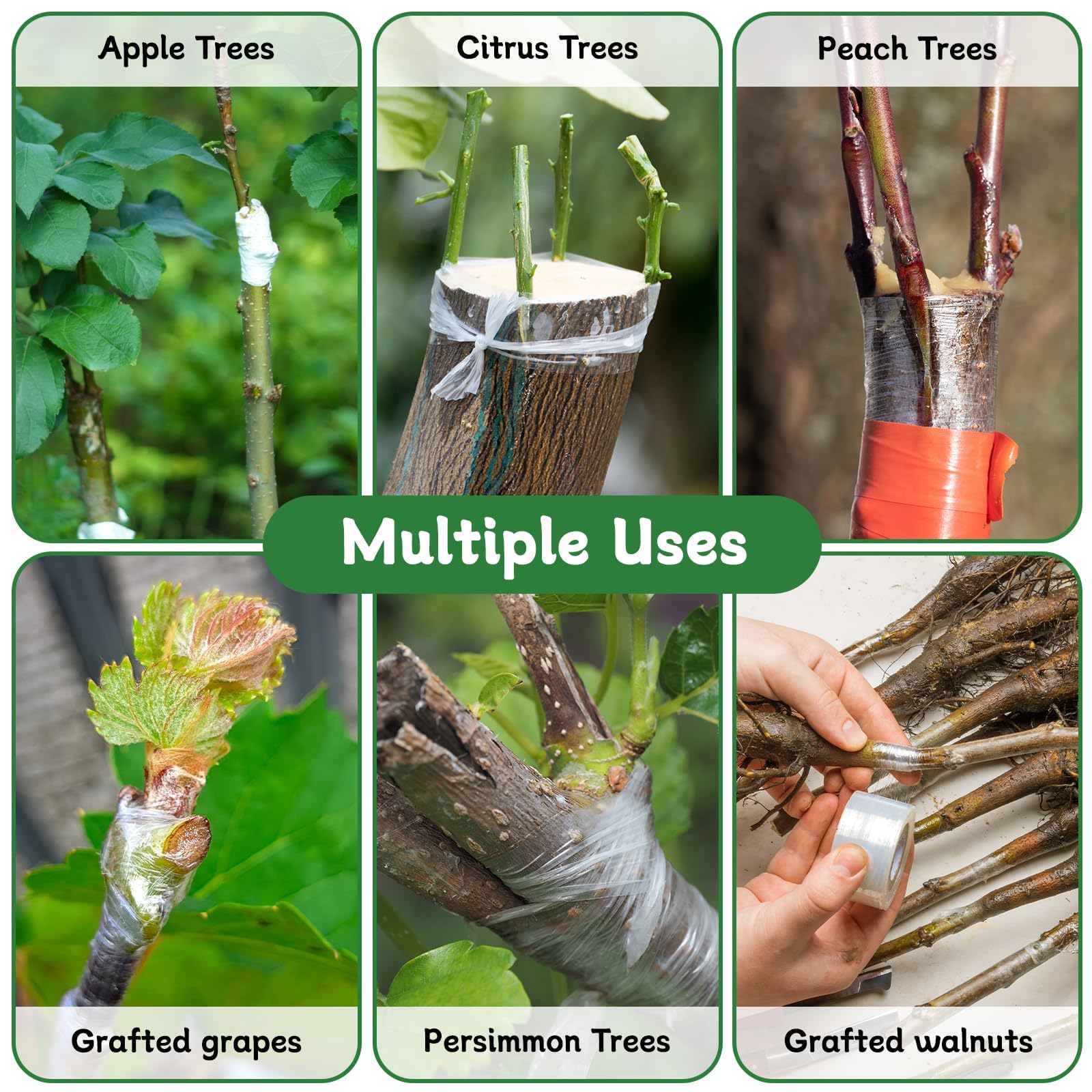 3 PCS Nastro per Innesto, 3cm Nastri per Innesto da Giardino, Estensibile Nastro da Innesto Autoadesive Trasparente, Nastri Giardino per Alberi da Frutto, Piantine, Fiori (Giallo + Verde + Bianco)