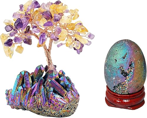 Mookaitedecor Bundle 2 artículos árbol de dinero de cristal de citrino y amatista y figuras de huevo de cristal recubierto de titanio con soporte Mookaitedecor Bundle 2 artículos árbol de dinero de cristal de citrino y amatista y figuras de huevo de cristal recubierto de titanio con soporte