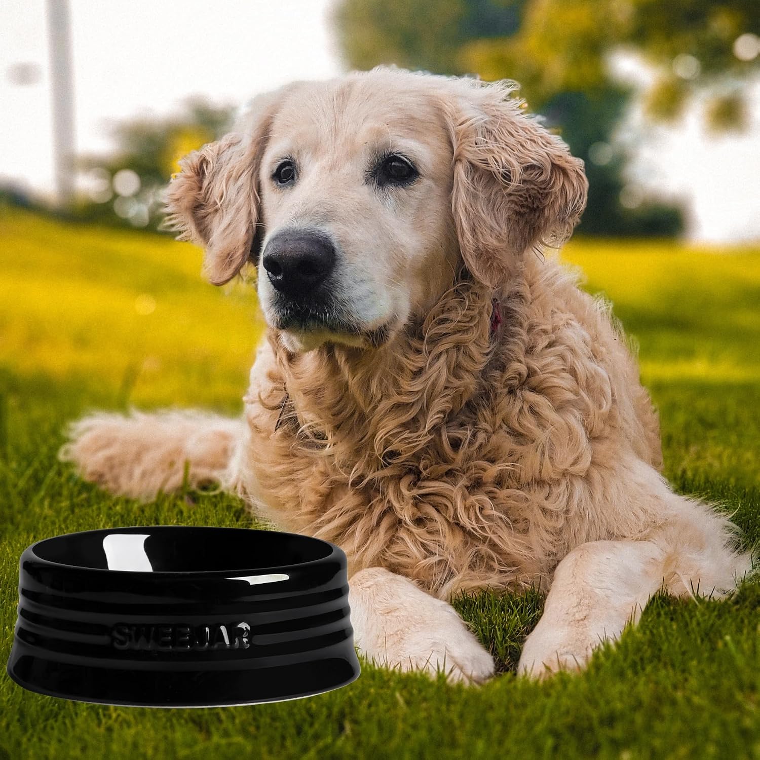 Sweejar Gradient Dog Bowl, Ceramic Dog Food Dish for Medium Dogs and Cat, Porcelain Pet Bowl for Food and Water 18 oz (Gradient Navy)