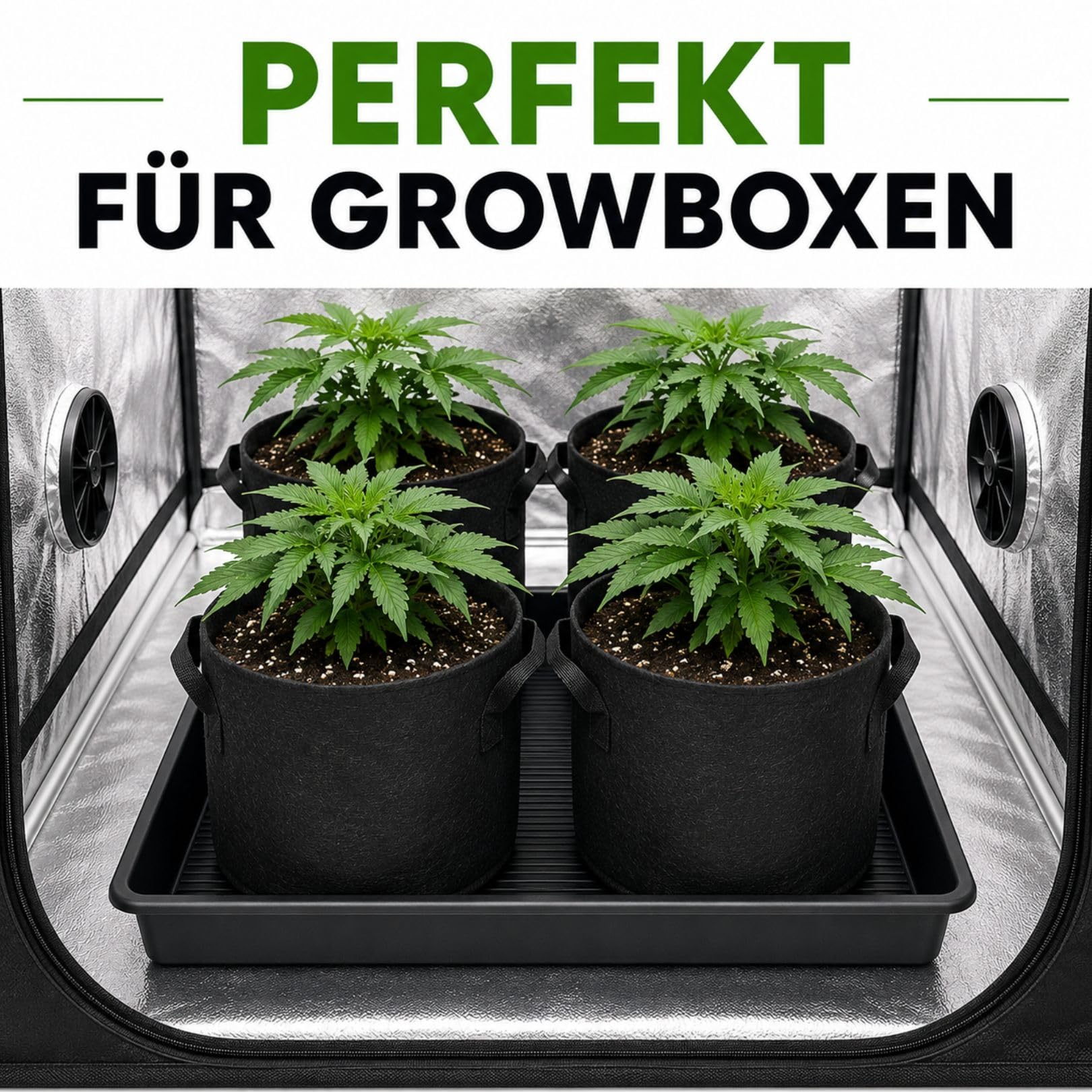 Weedness Pflanzenschale 120 x 120 x 12 cm Schwarz für Innen & Außen - Einlegeboden Schale Kunststoffwanne Untersetzer Pflanzen Rechteckig Garten Blumenschale Plastik