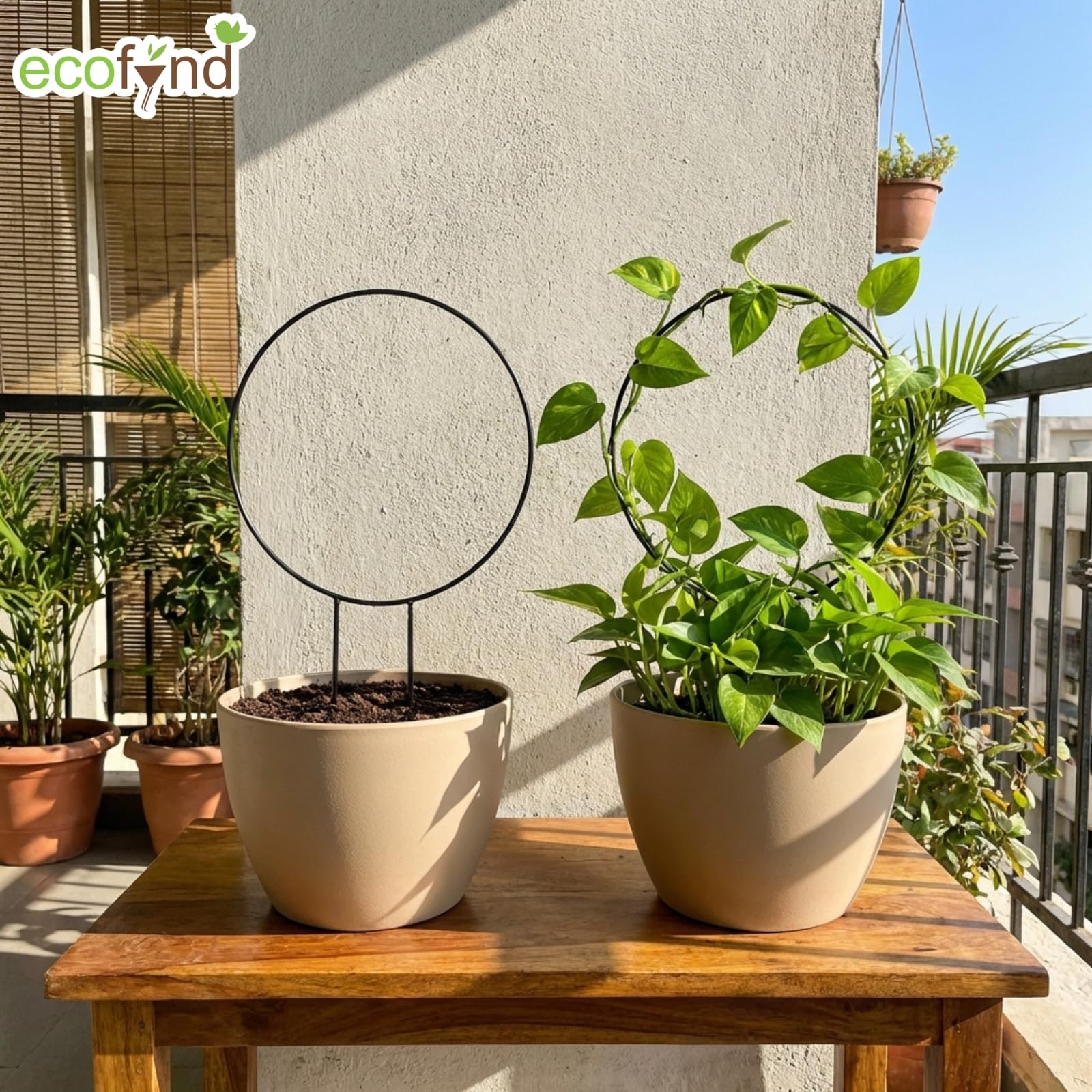 ecofynd Metal Garden Trellis for Climbing Plants, Round Shape Plant Support Stake, Single Stem Flower Support Frame for Vines, Indoor Outdoor Garden Decor, Easy Install Support Stand (Pack 2, Black) 4