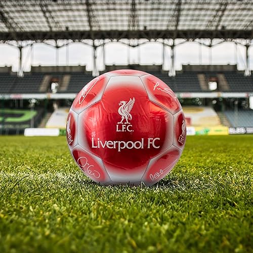 Miniatura 2 de Hy-Pro Balón de fútbol clásico con licencia oficial, metálico, talla 5, entrenamiento, partido, mercancía, coleccionable para niños y adultos