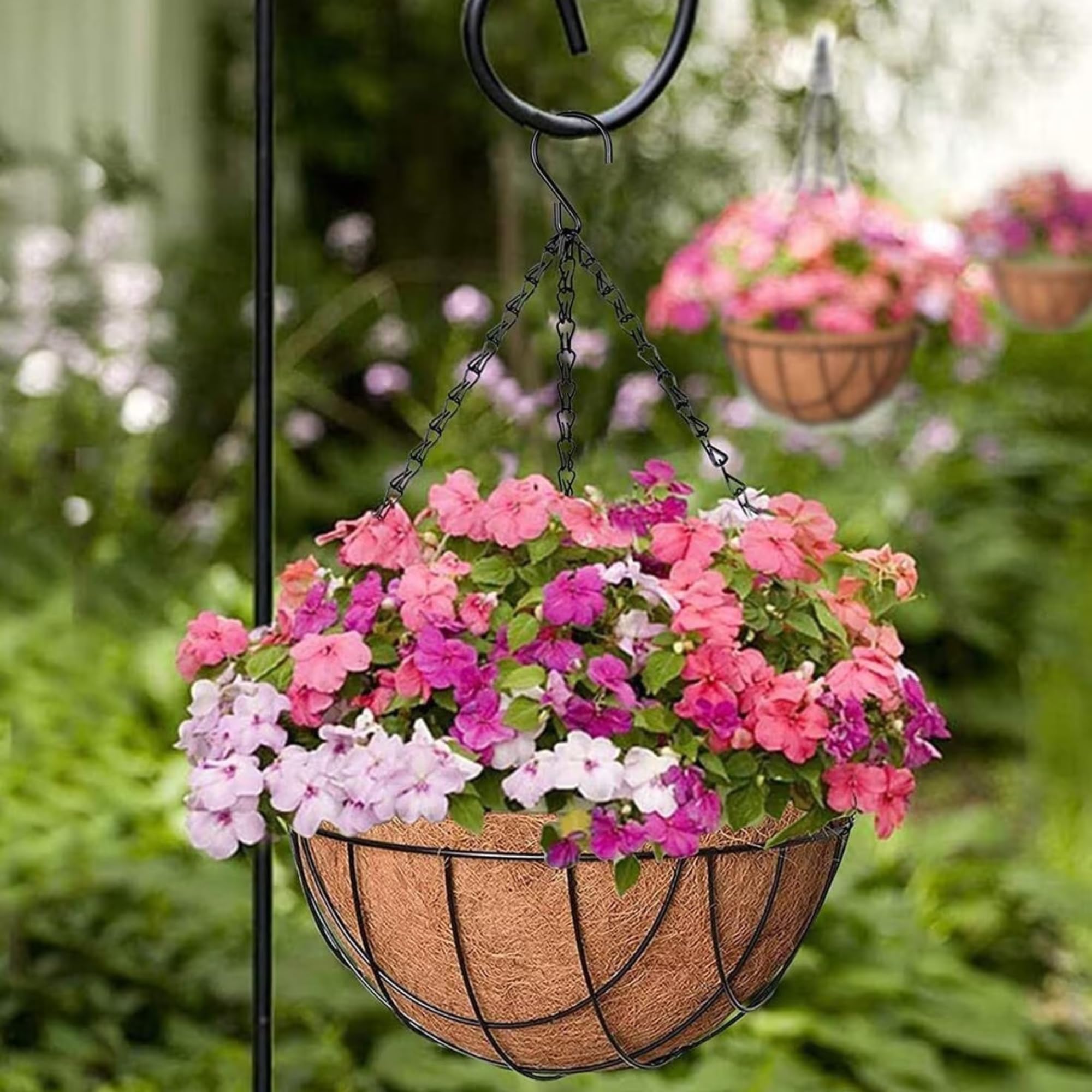 MUDDSTYLES Coco Coir 8 Inches Plant Container Wall Hanging Basket With Chain And Hook Indoor Outdoor Wall Hanging Gardning Planter Set (Pack Of 6),Black 3