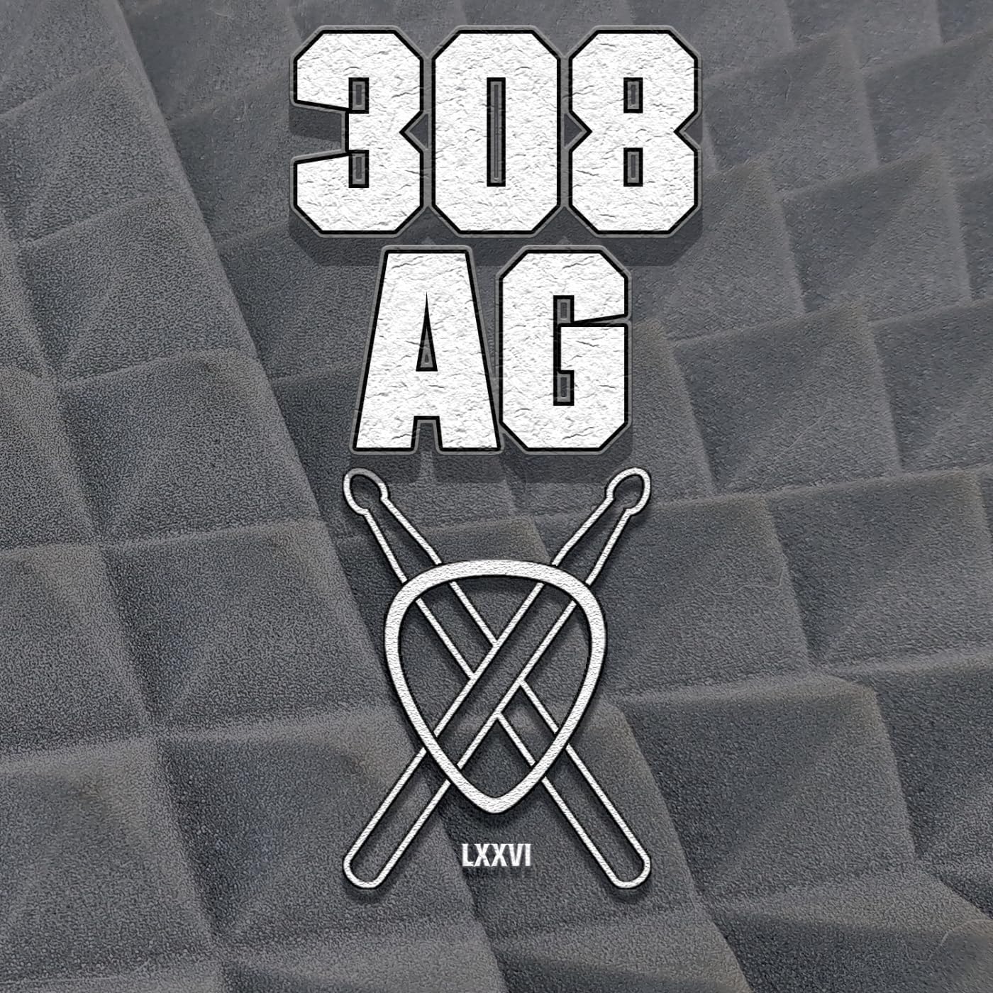 308AG