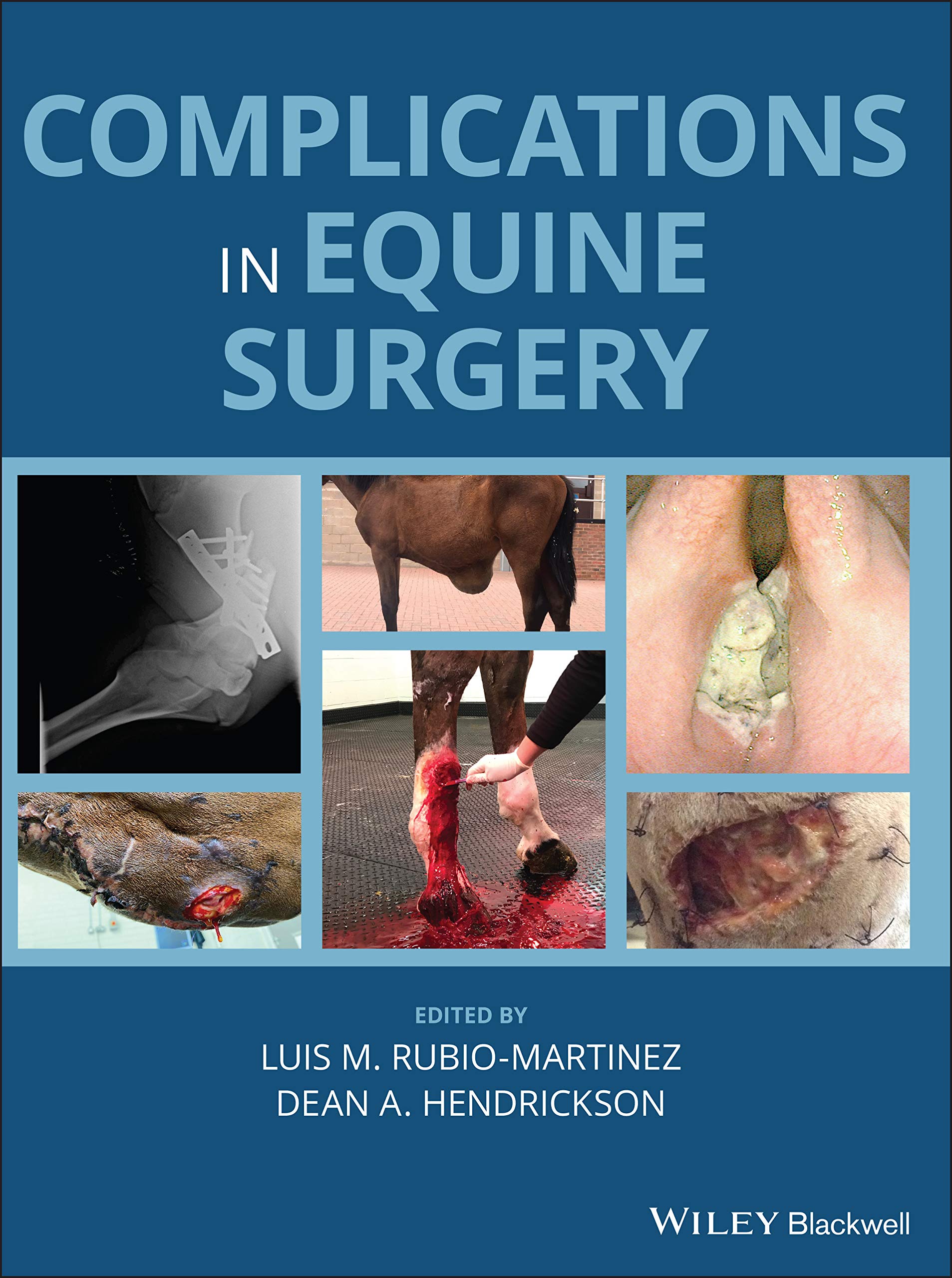 Complications in Equine Surgery, Rubio-Martinez, Hendrickson 9781119190073^+